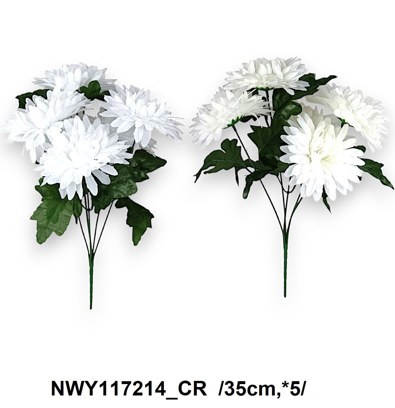 NWY117214_CR