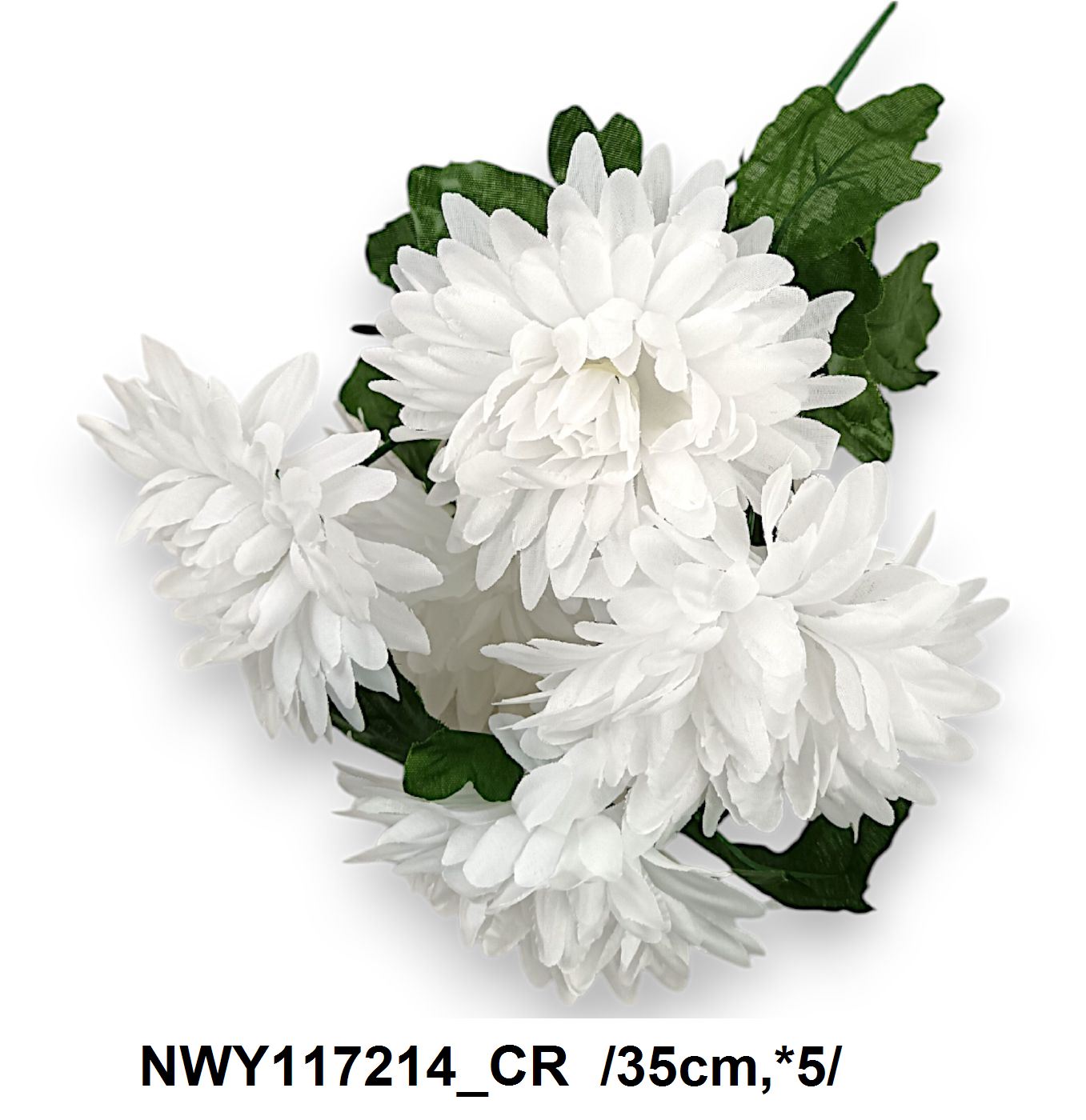 NWY117214_CR