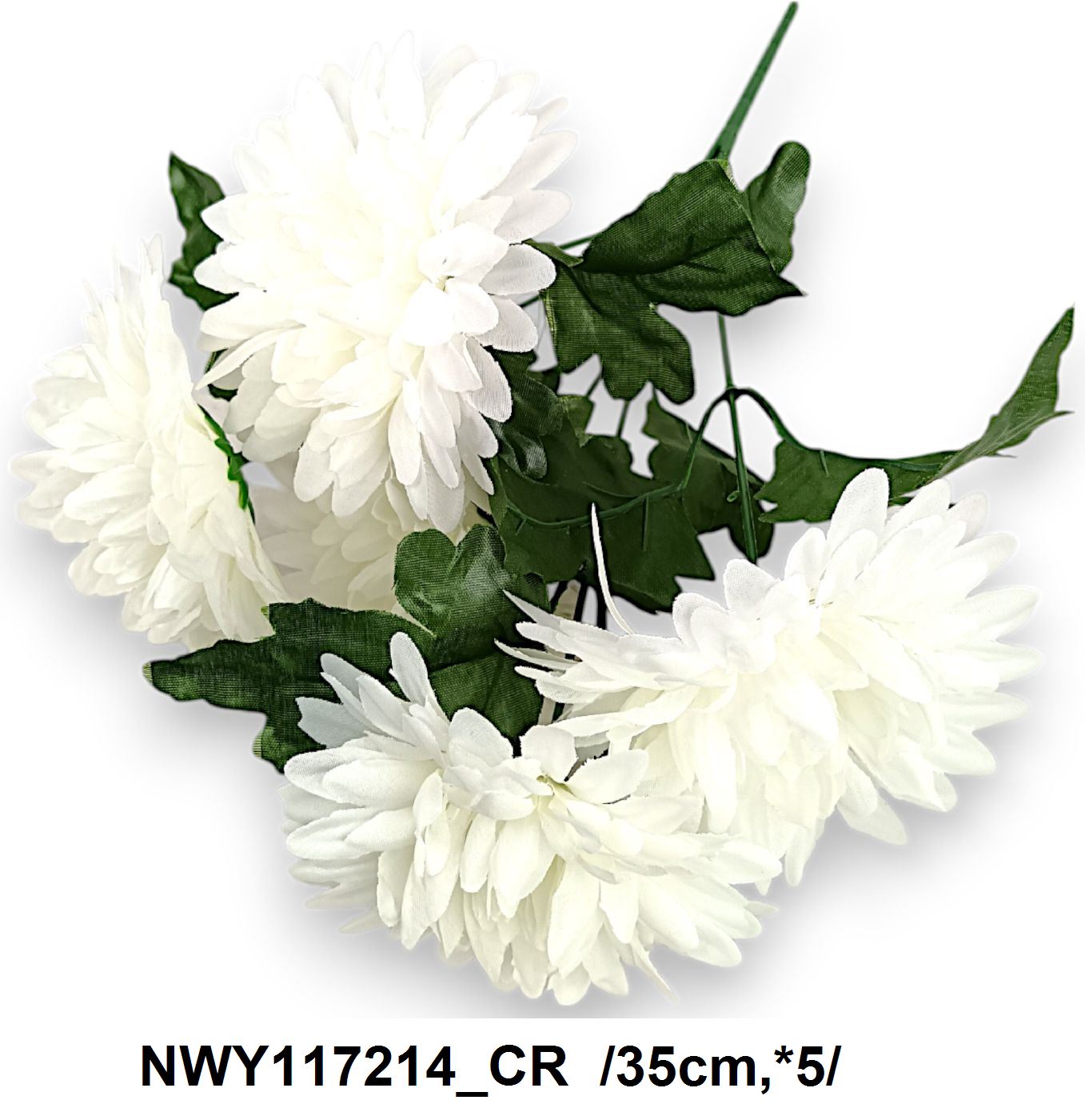 NWY117214_CR