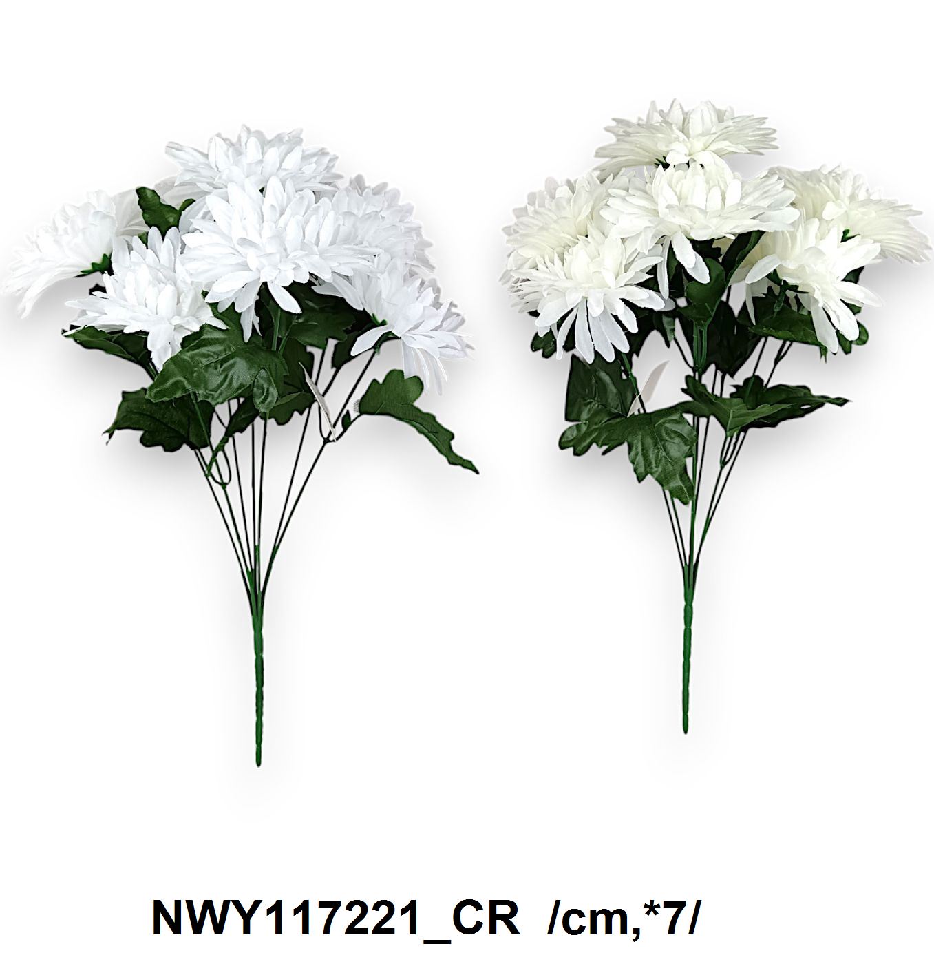 NWY117221_CR
