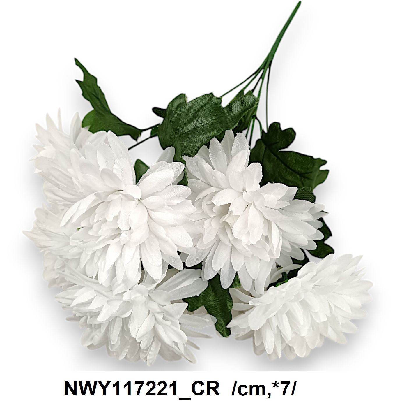 NWY117221_CR