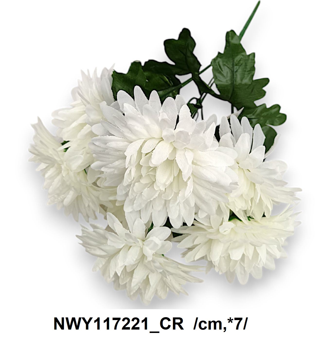 NWY117221_CR