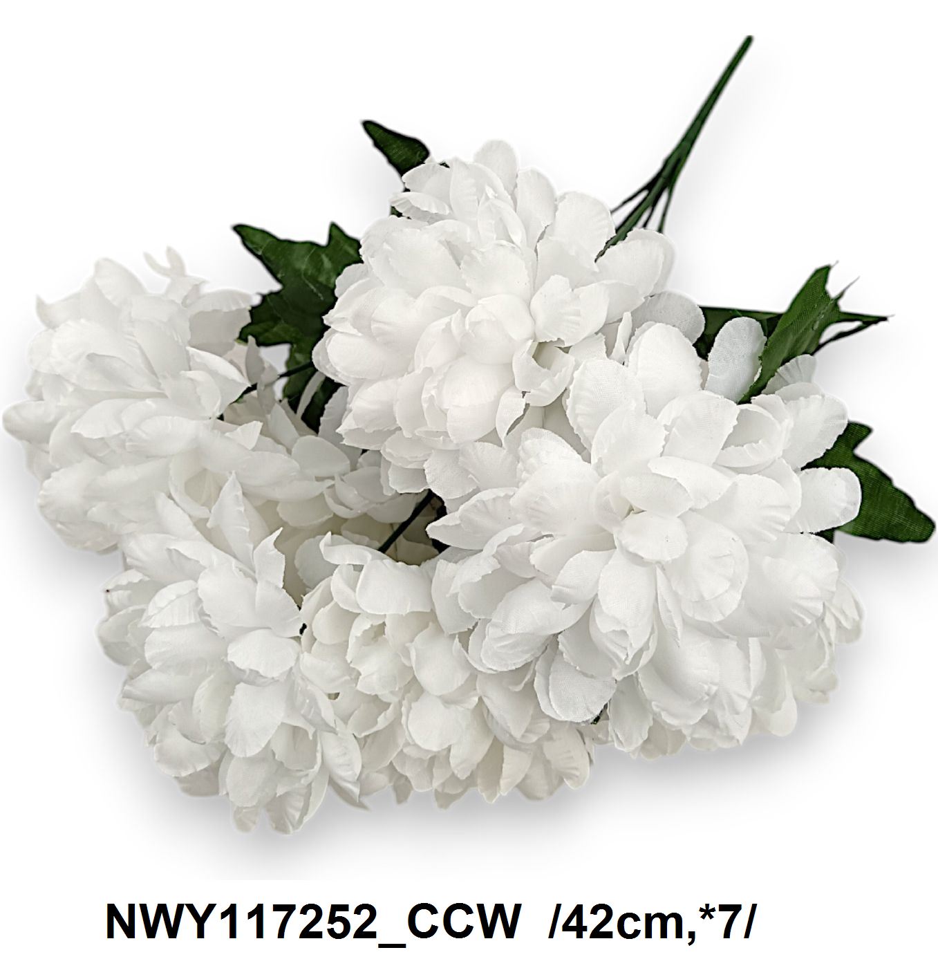 NWY117252_CCW