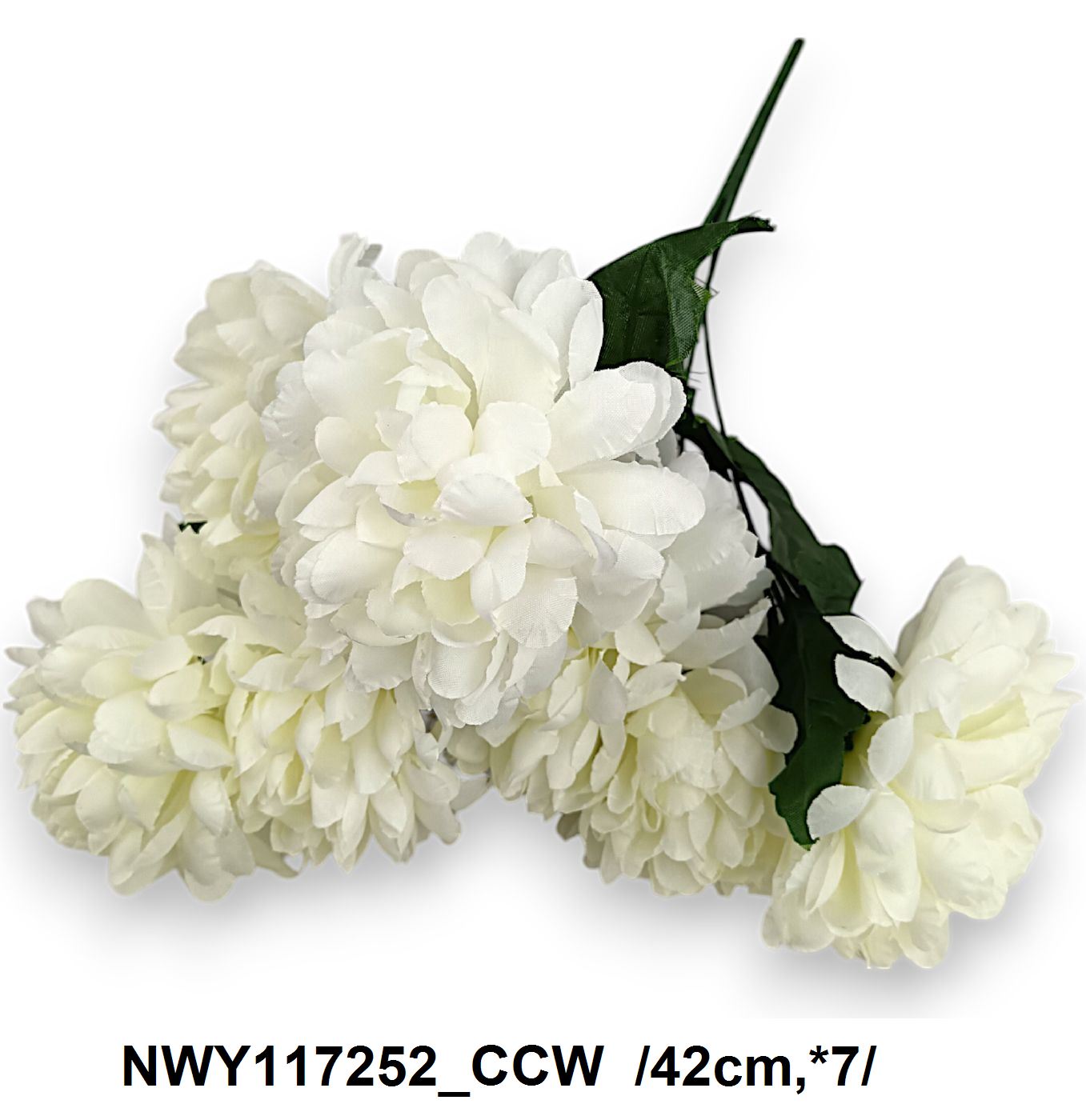 NWY117252_CCW