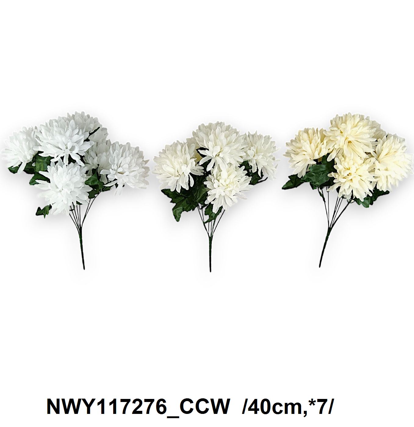 NWY117276_CCW