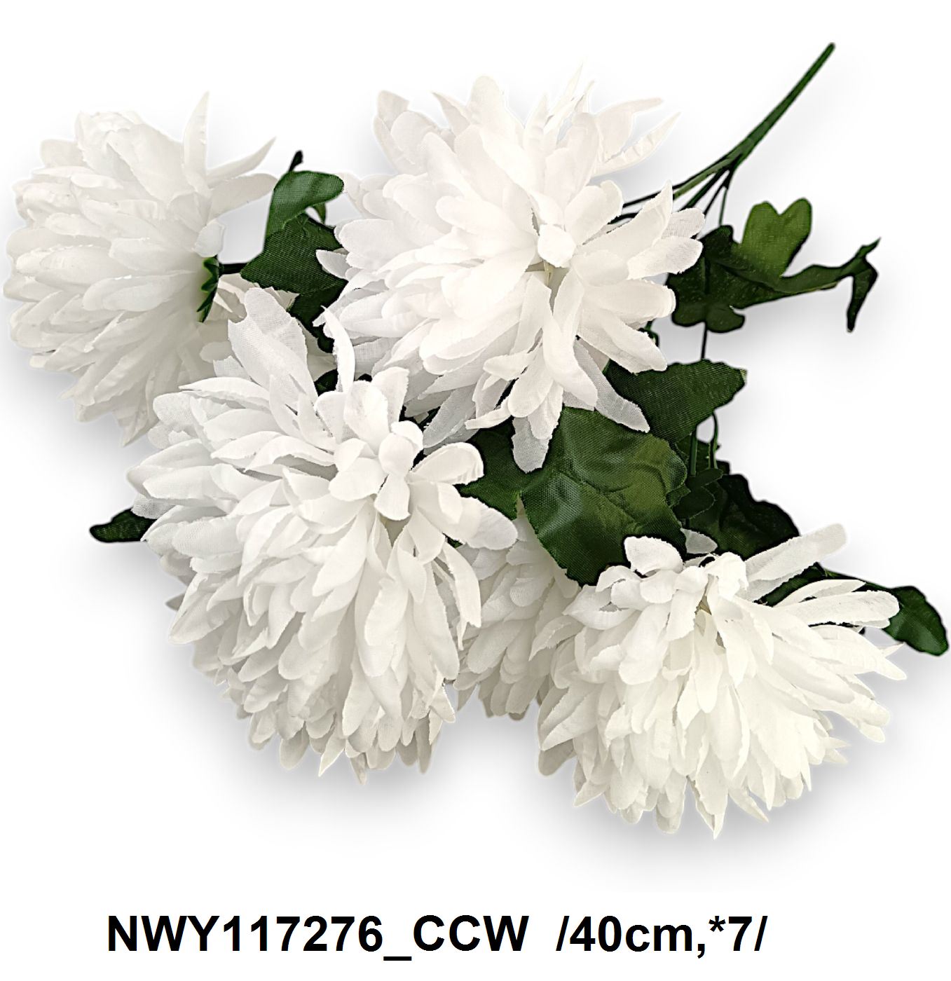 NWY117276_CCW