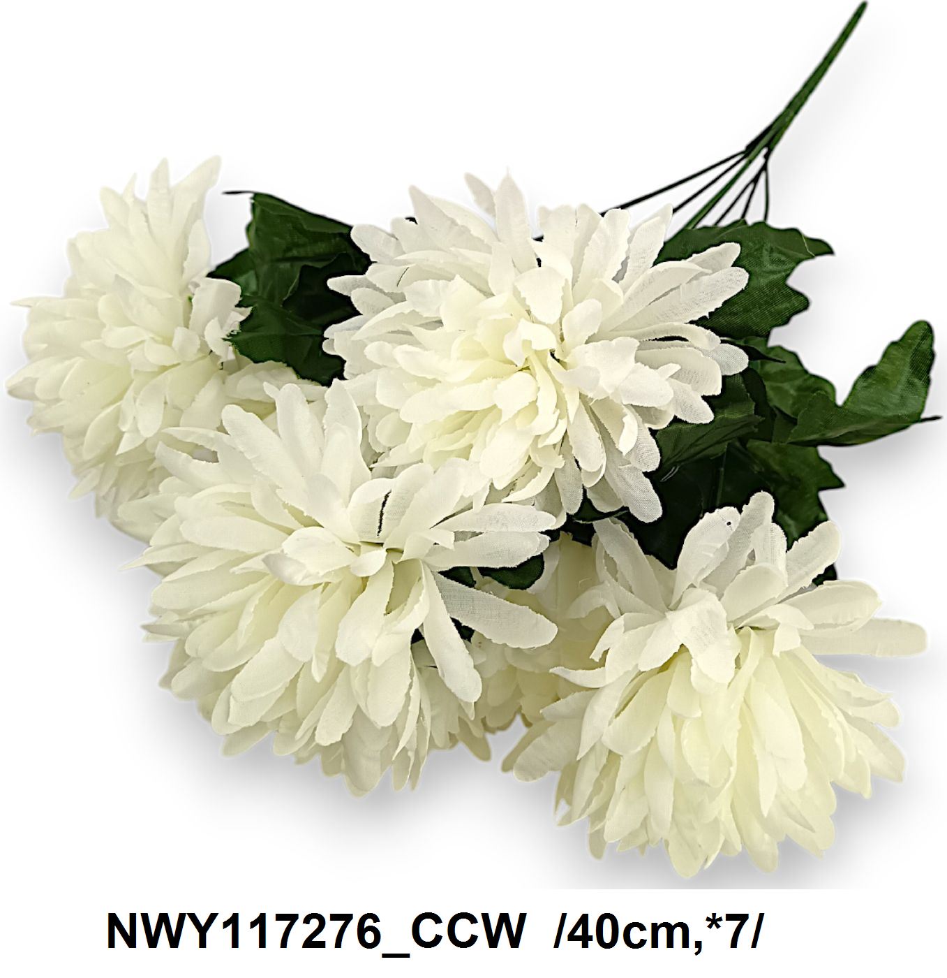 NWY117276_CCW