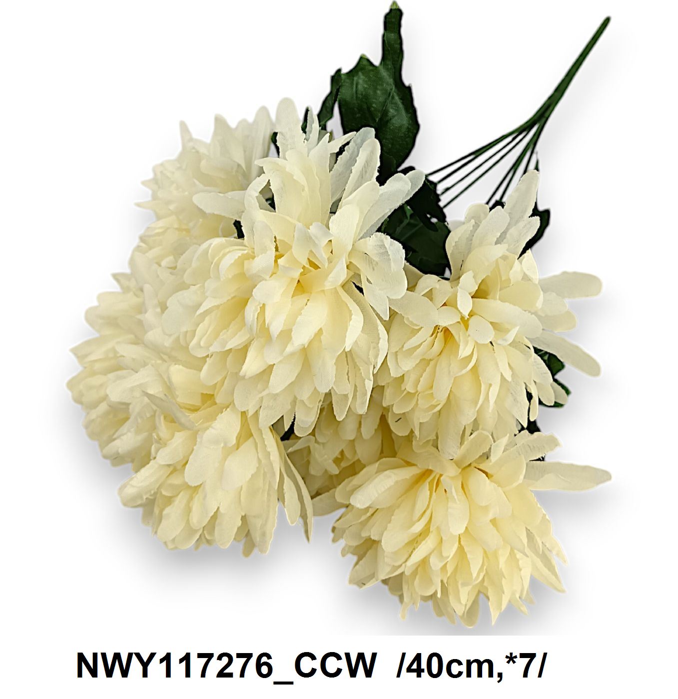 NWY117276_CCW