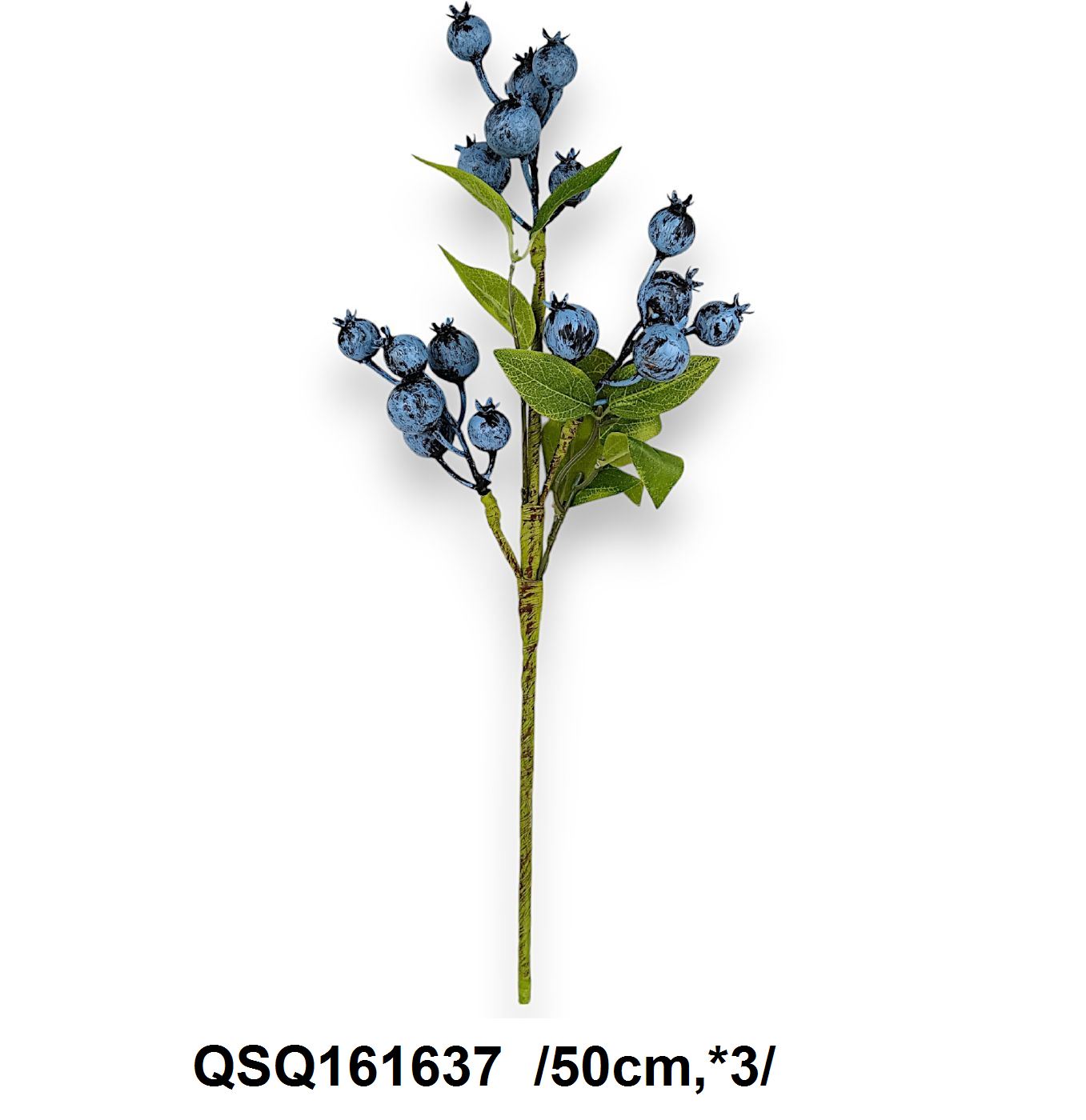QSQ161637