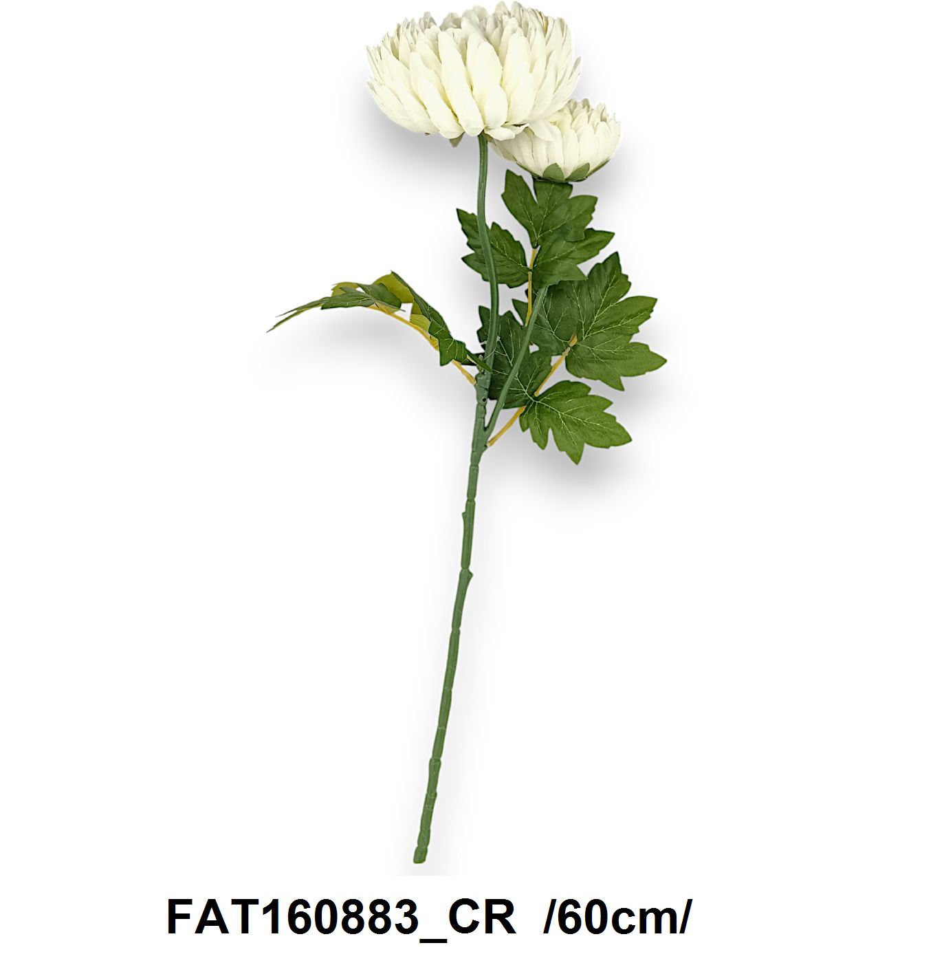 FAT160883_CR