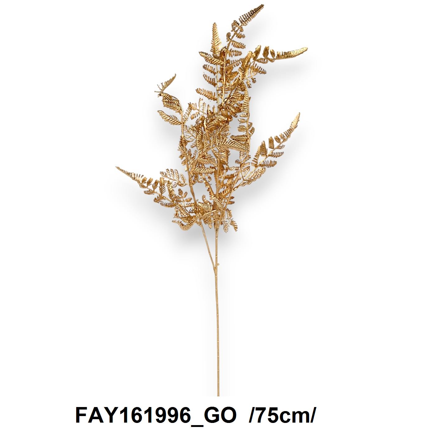 FAY161996_GO