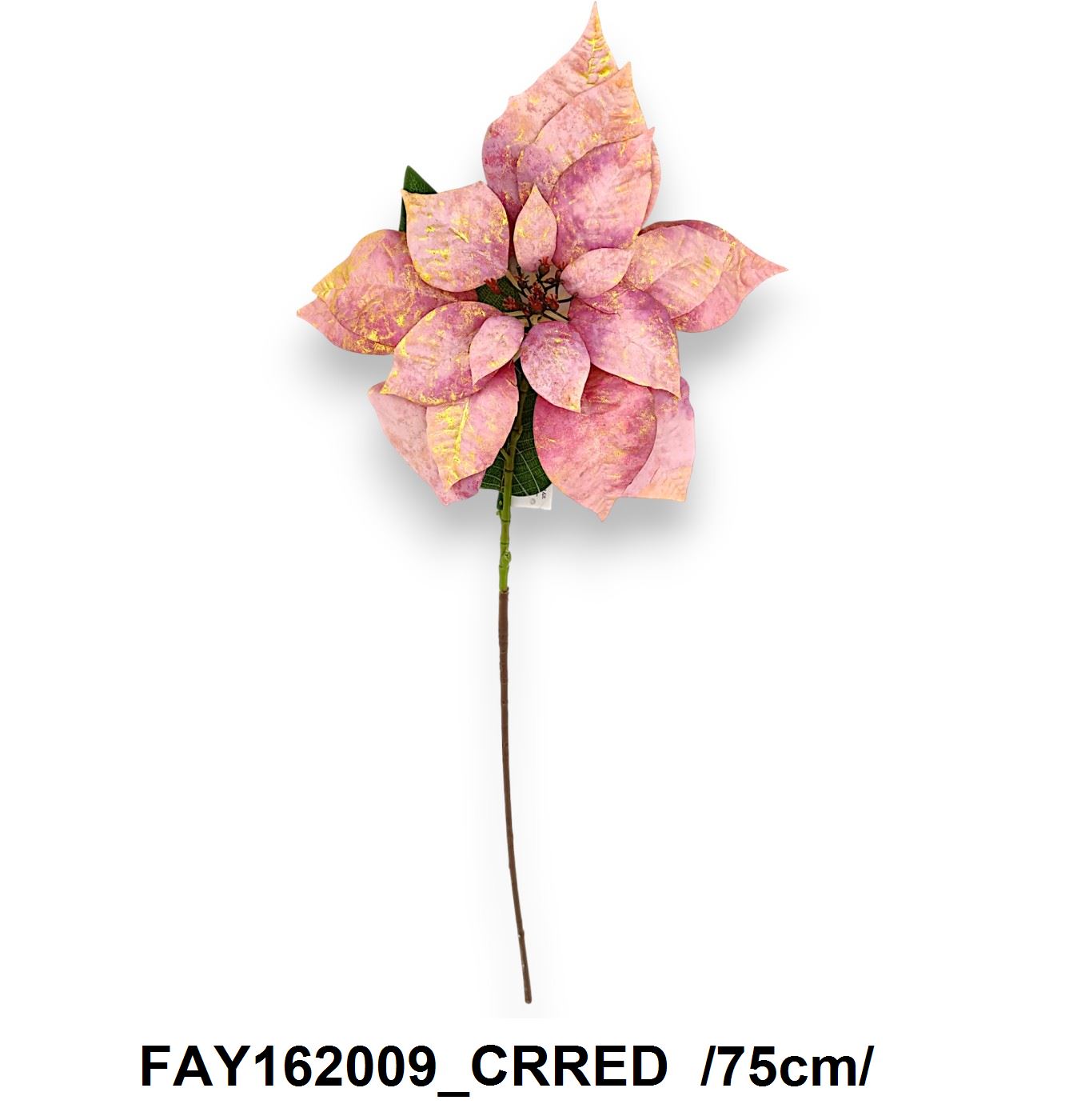 FAY162009_CRRED