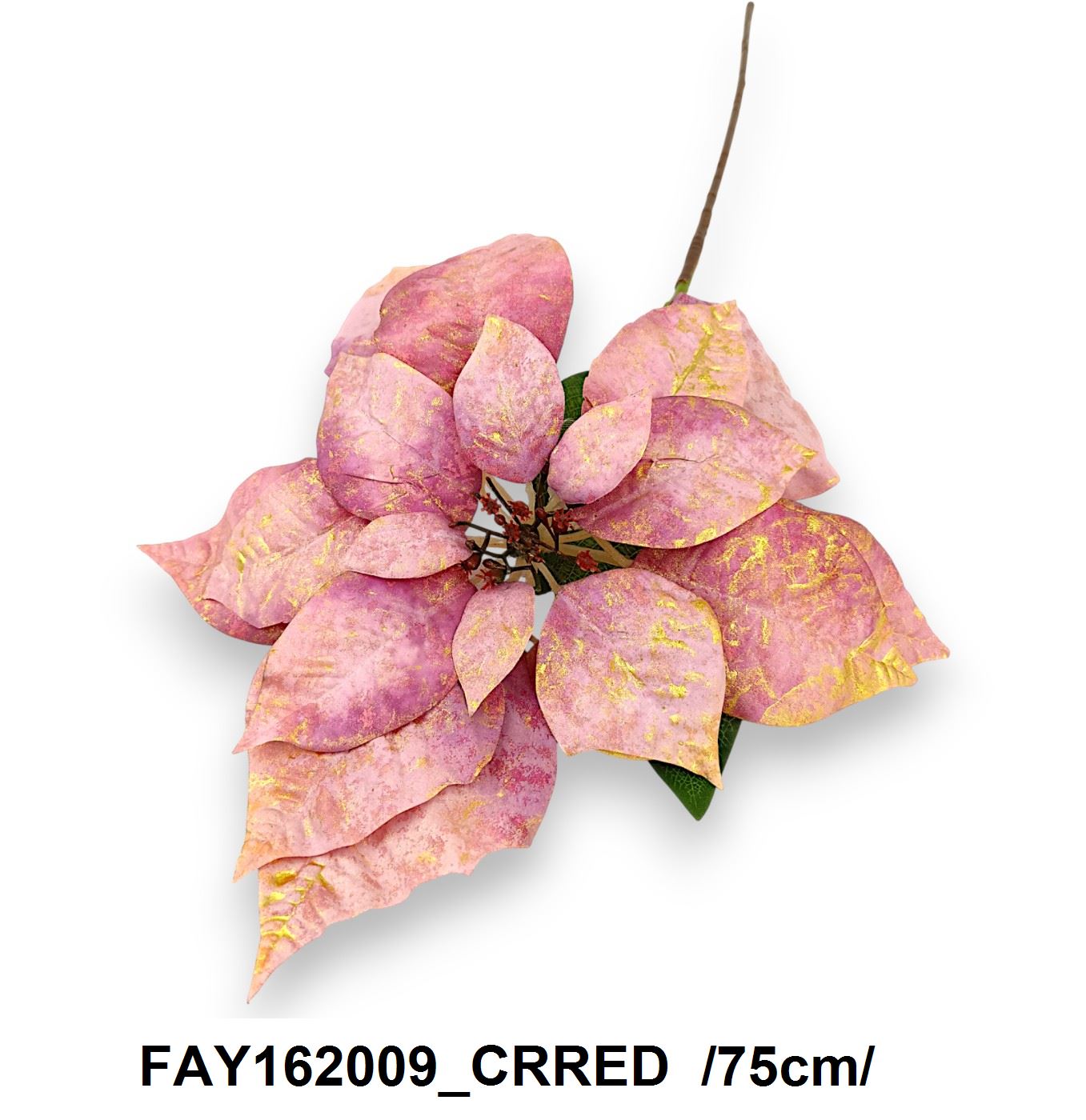 FAY162009_CRRED