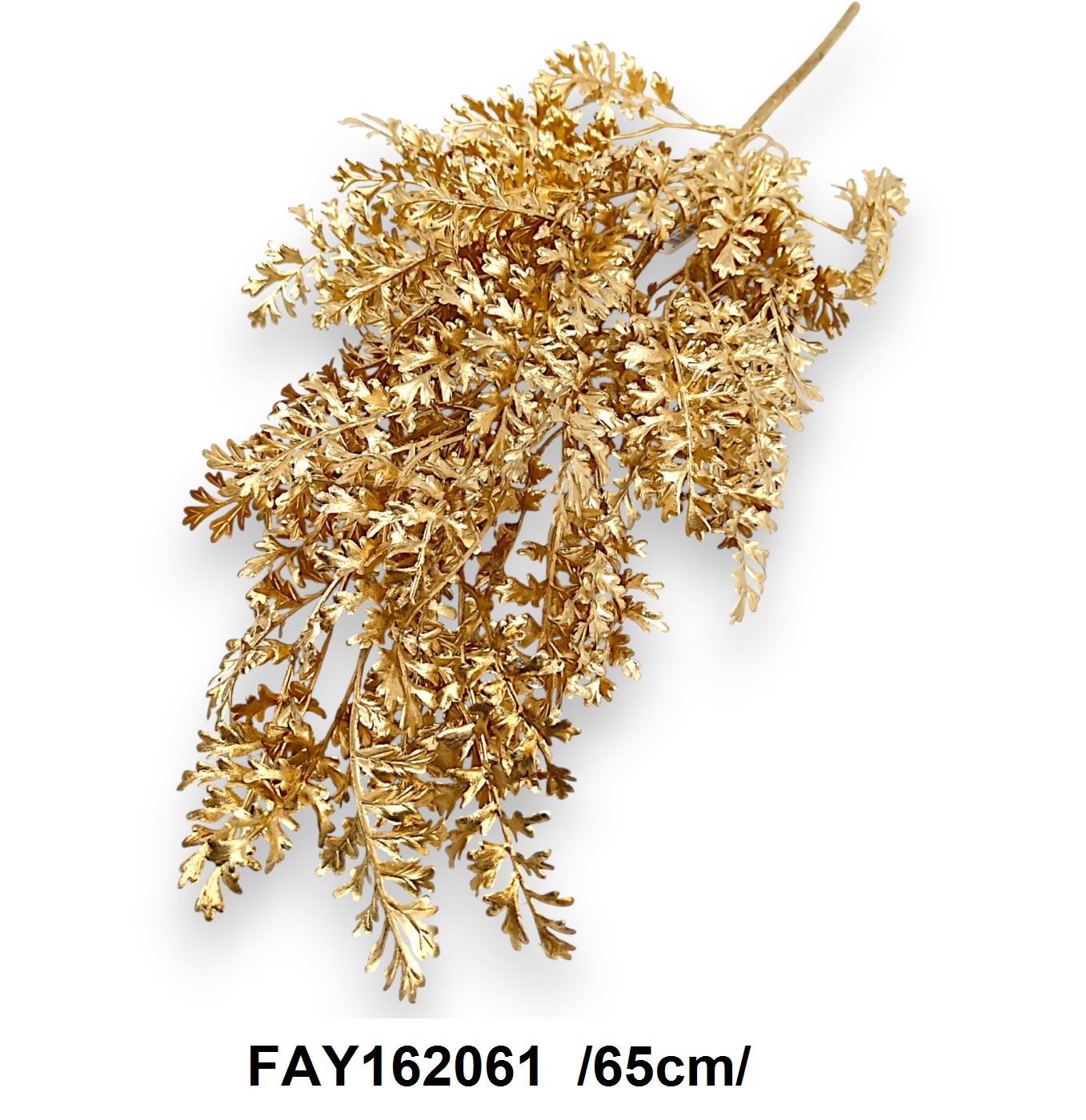 FAY162061