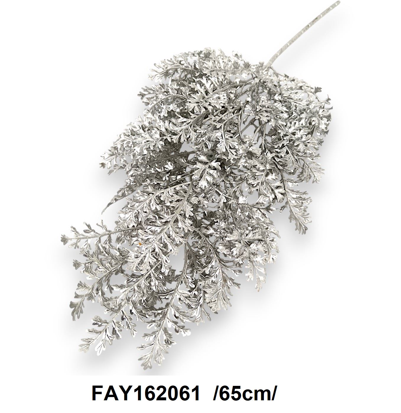 FAY162061