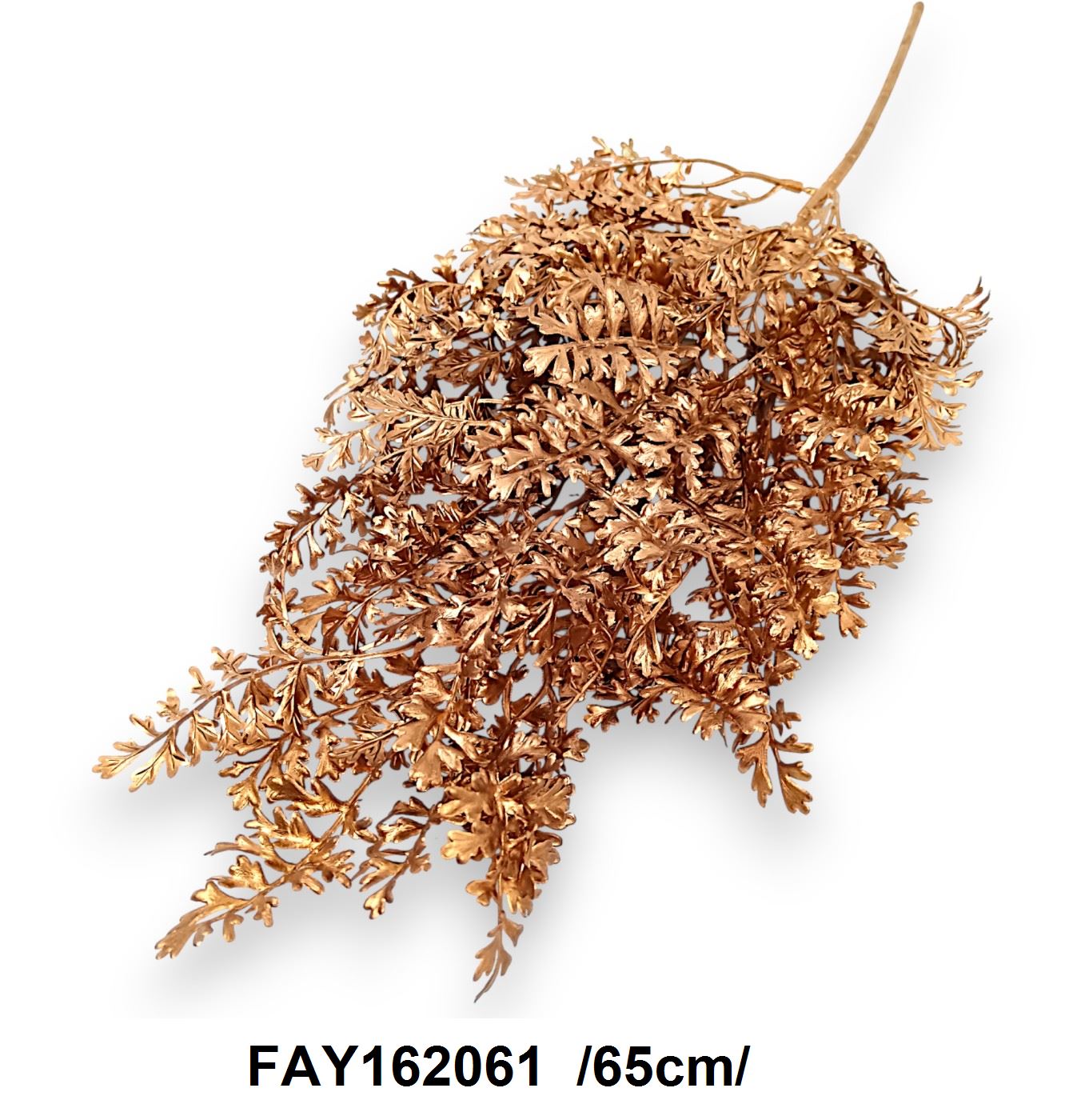 FAY162061