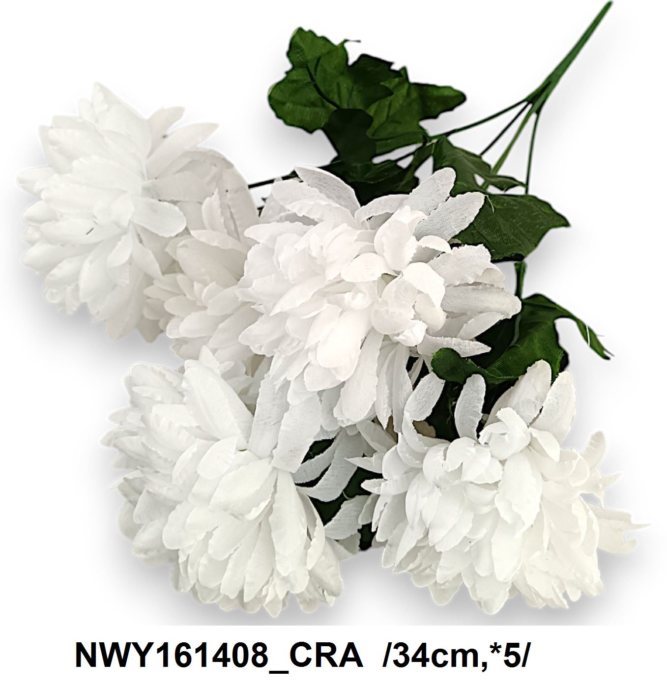 NWY161408_CRA