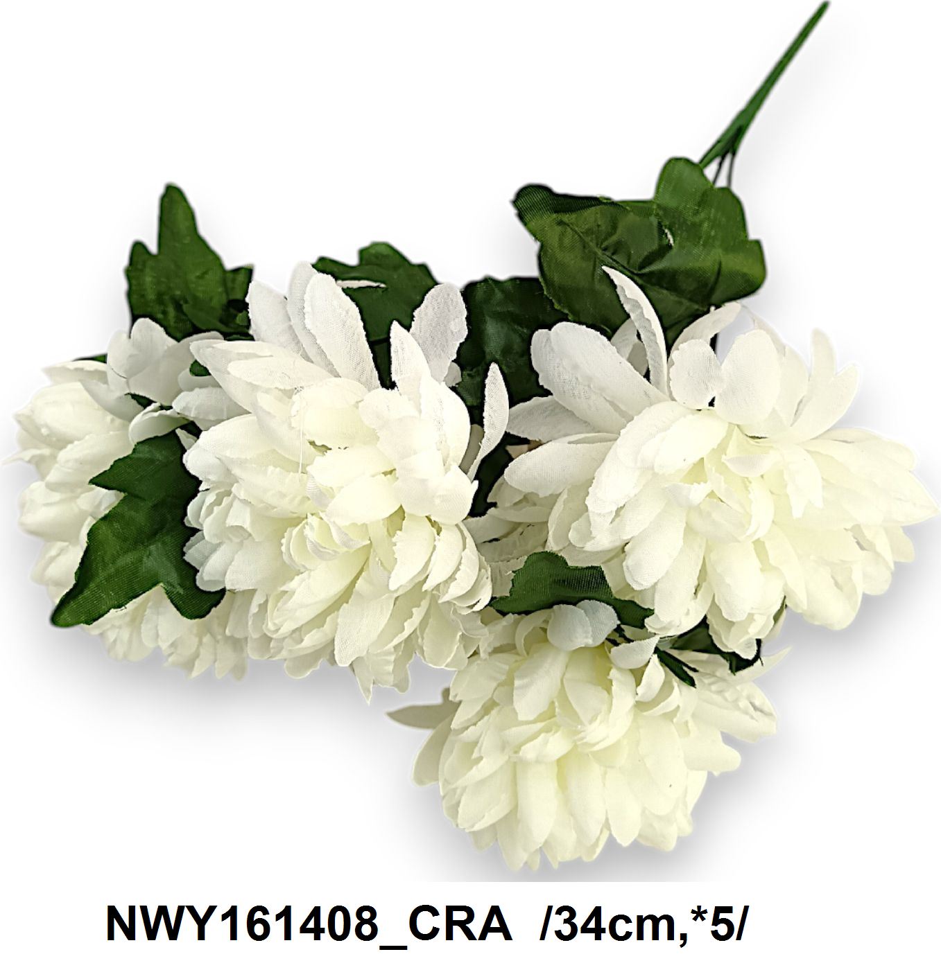 NWY161408_CRA