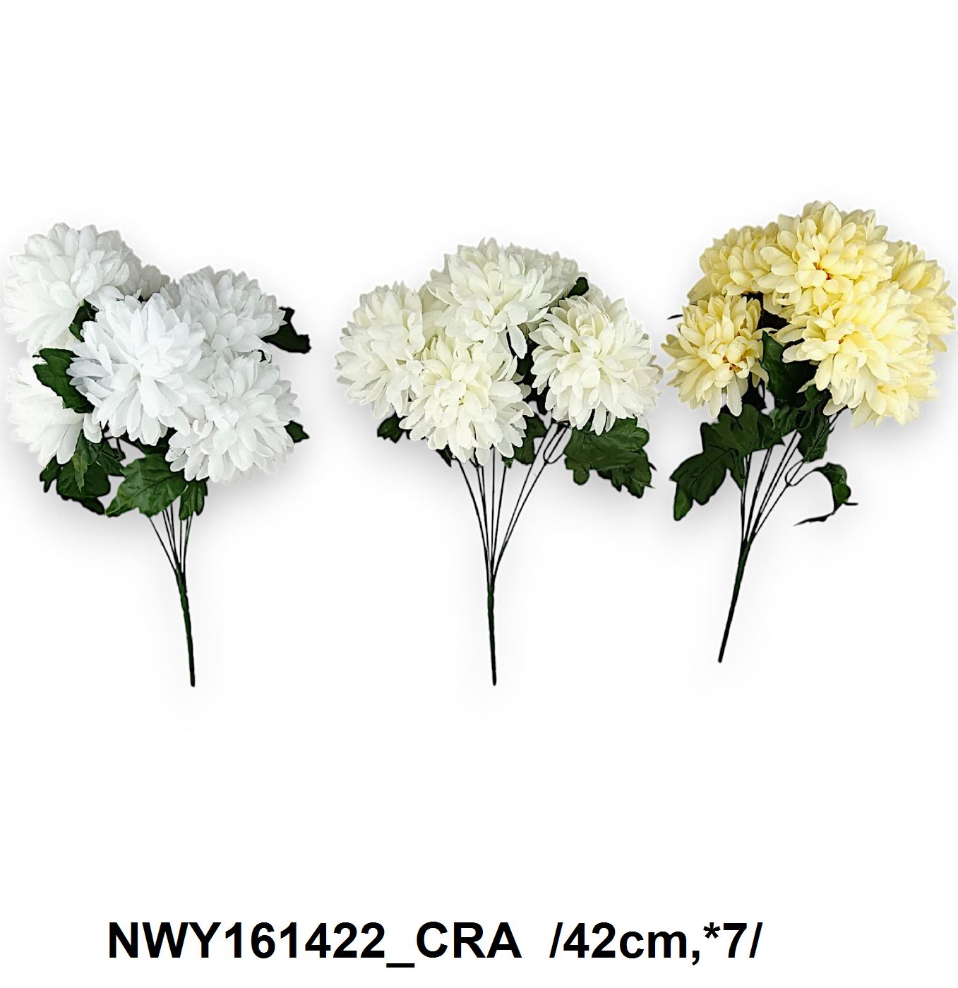 NWY161422_CRA