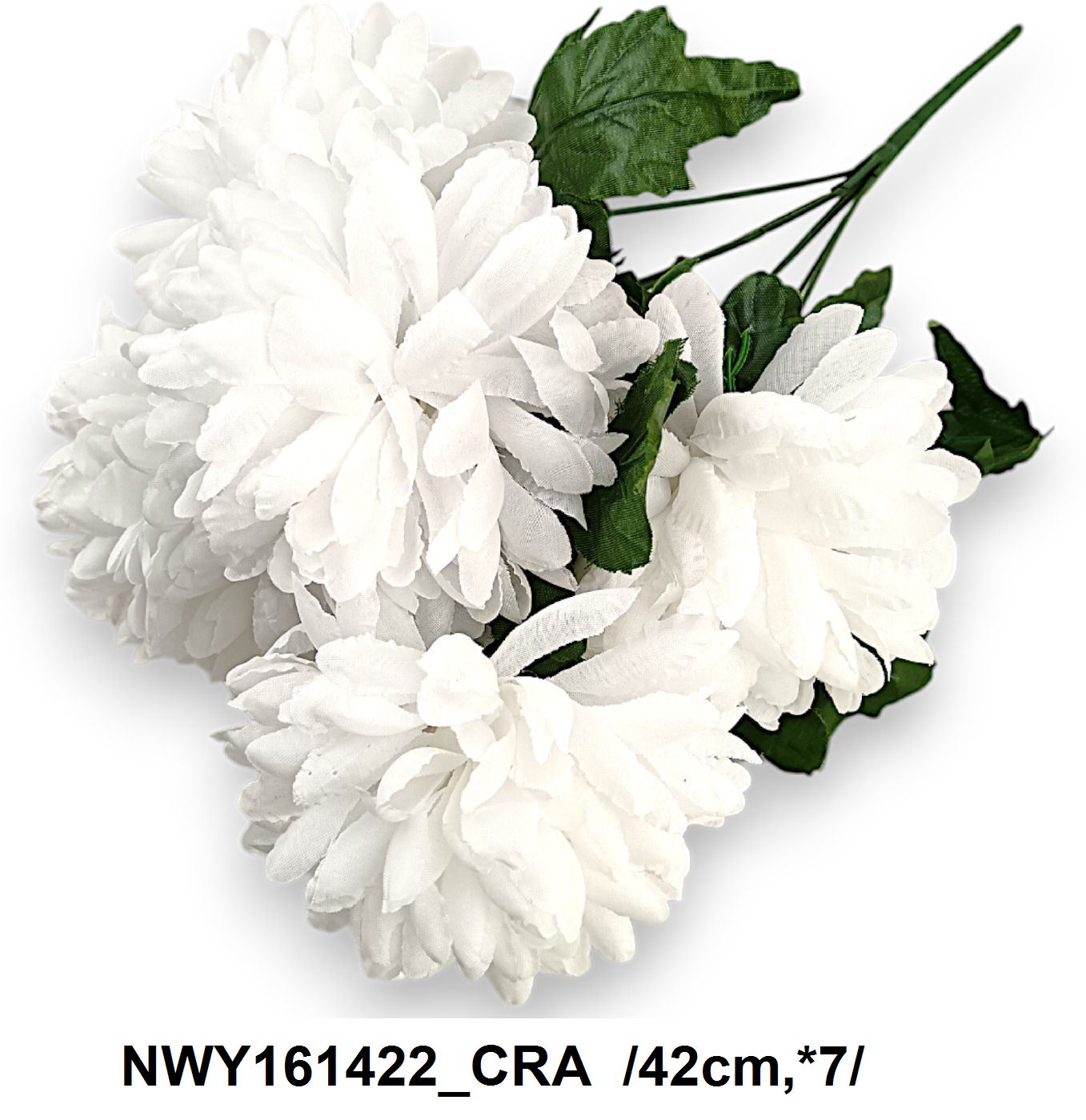 NWY161422_CRA