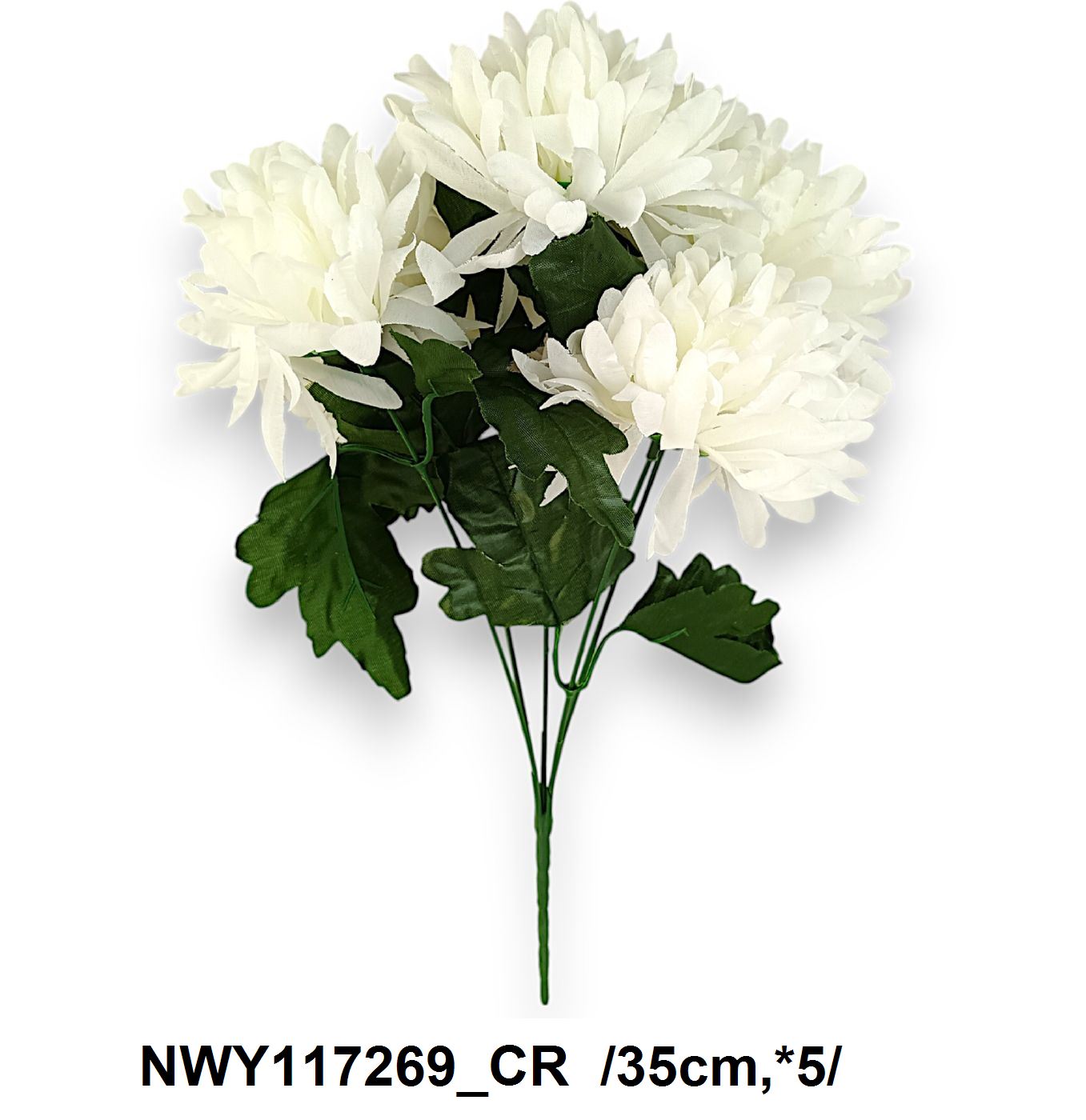 NWY117269_CR