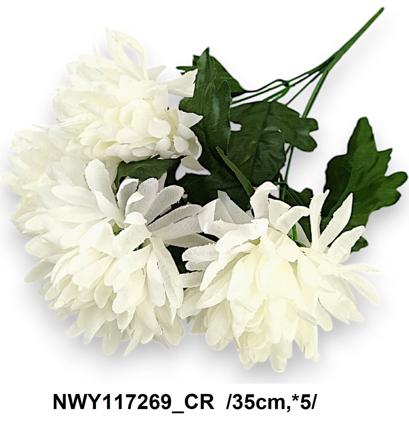 NWY117269_CR