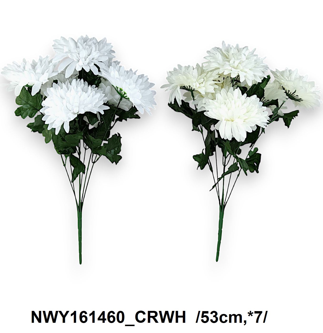 NWY161460_CRWH