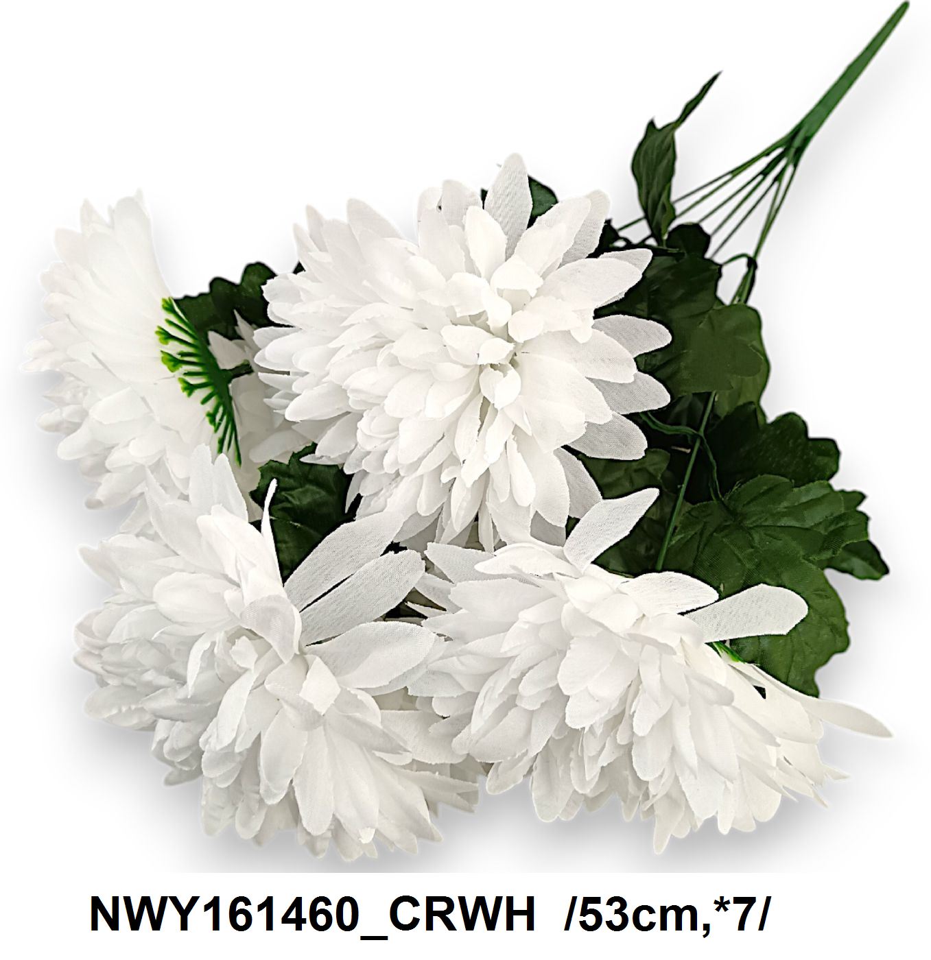 NWY161460_CRWH