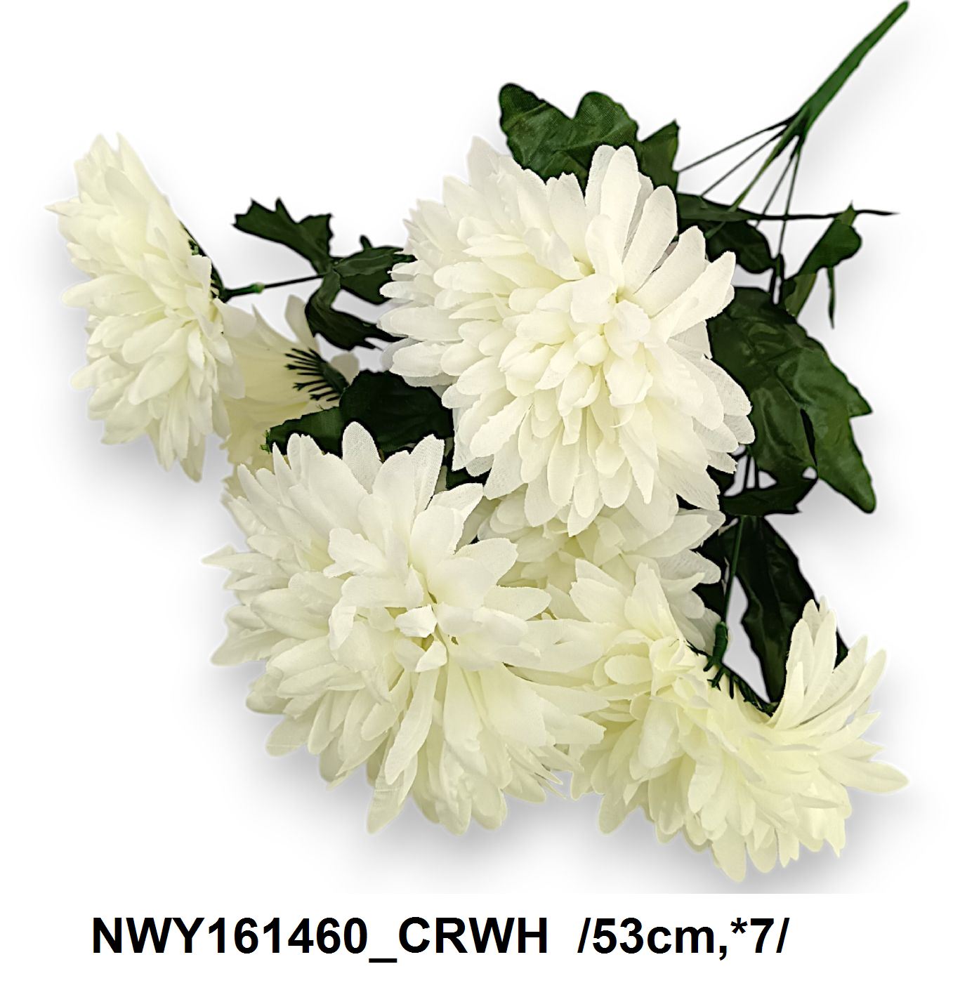 NWY161460_CRWH