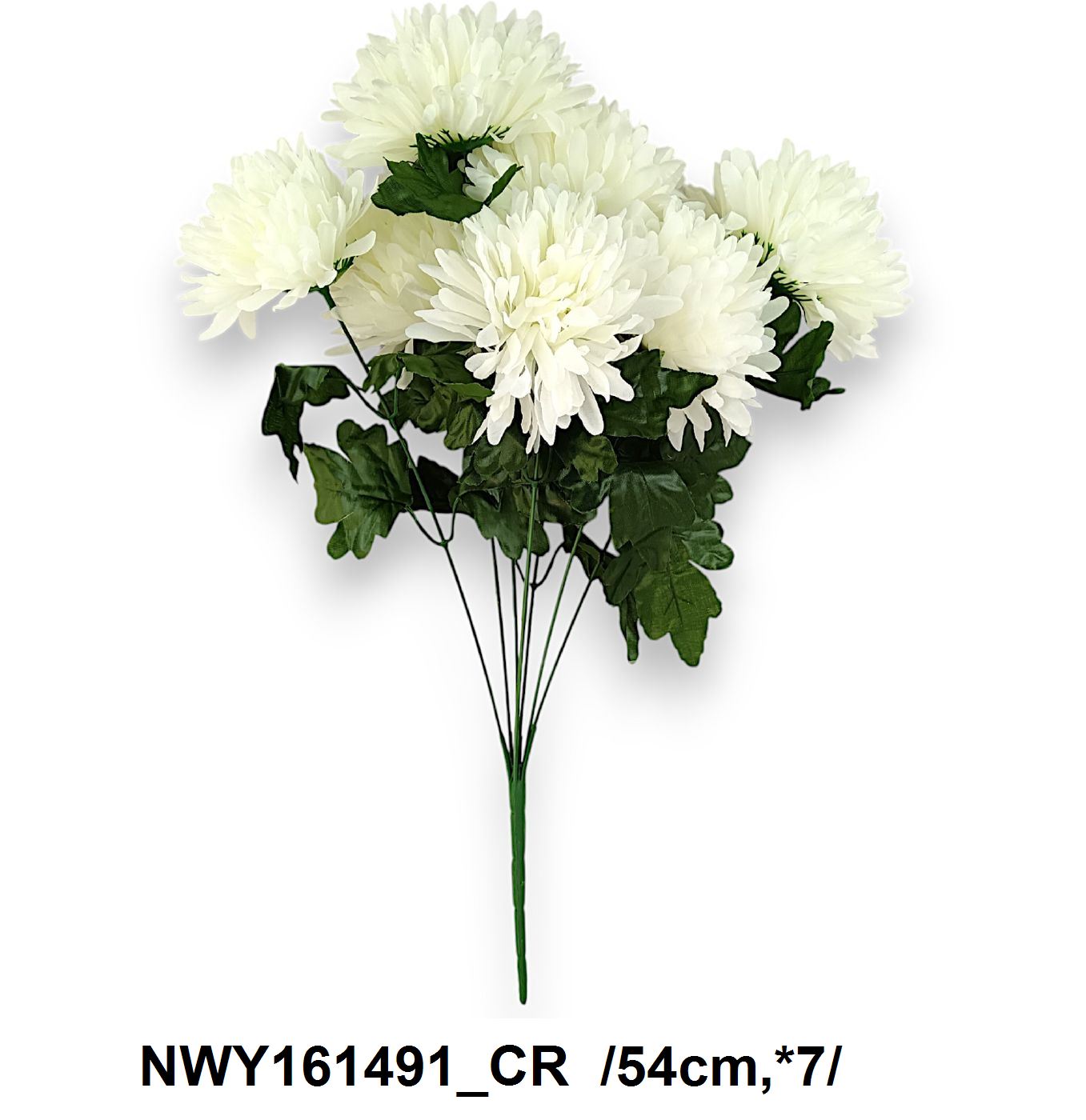 NWY161491_CR