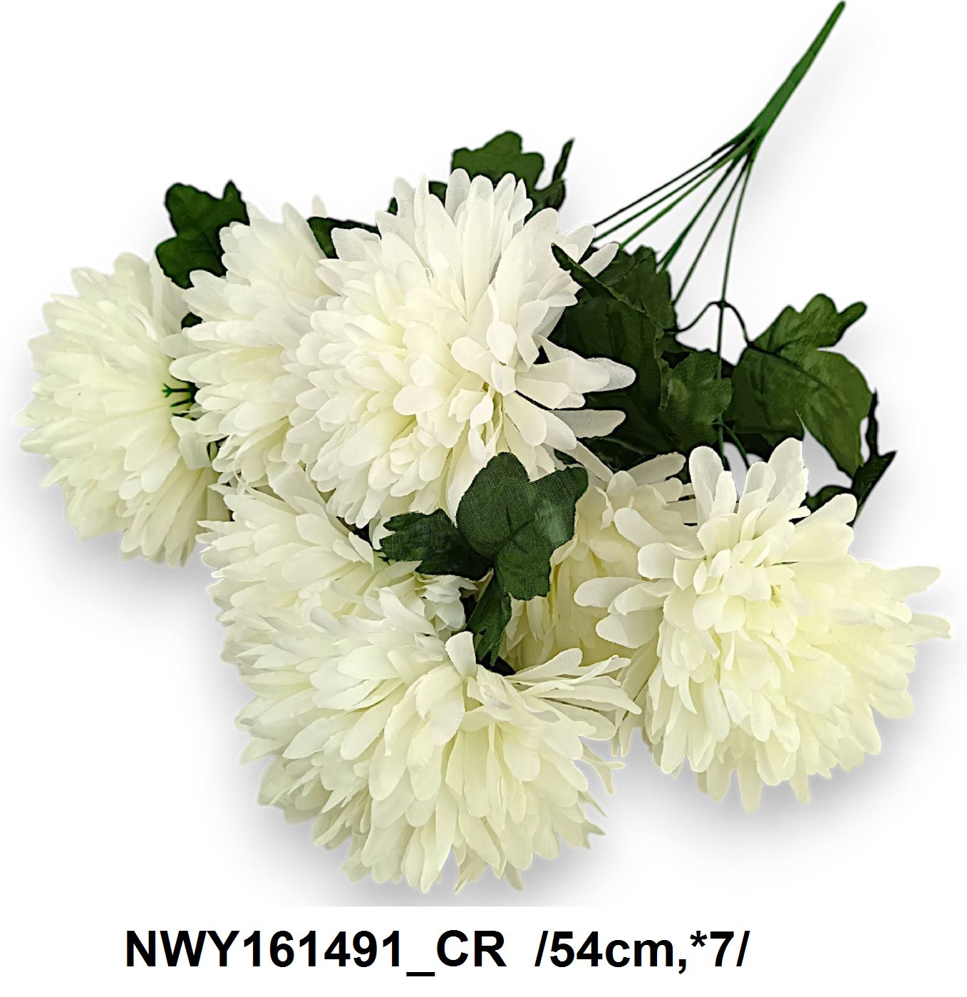 NWY161491_CR
