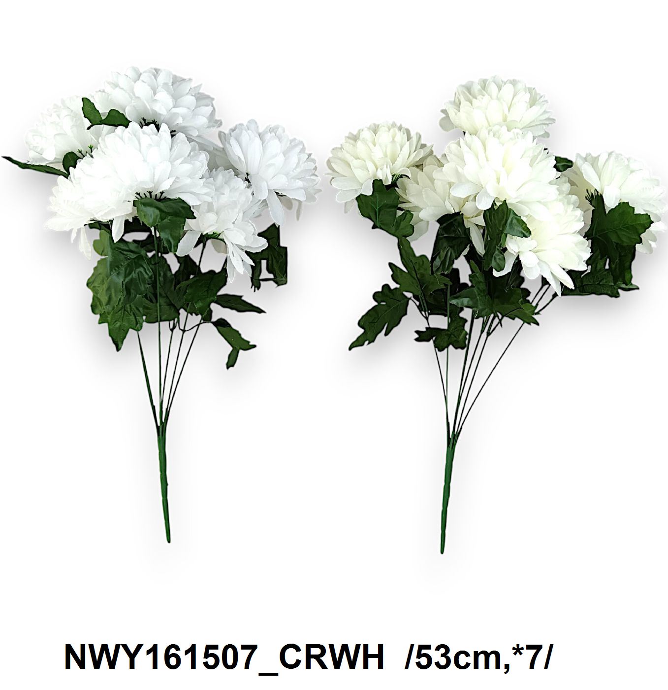 NWY161507_CRWH