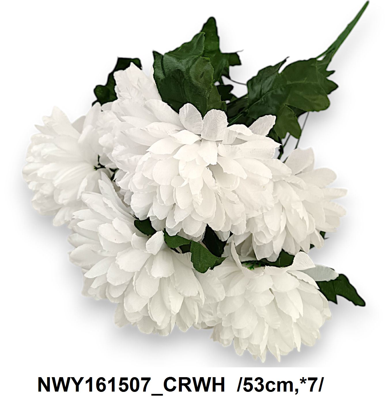 NWY161507_CRWH