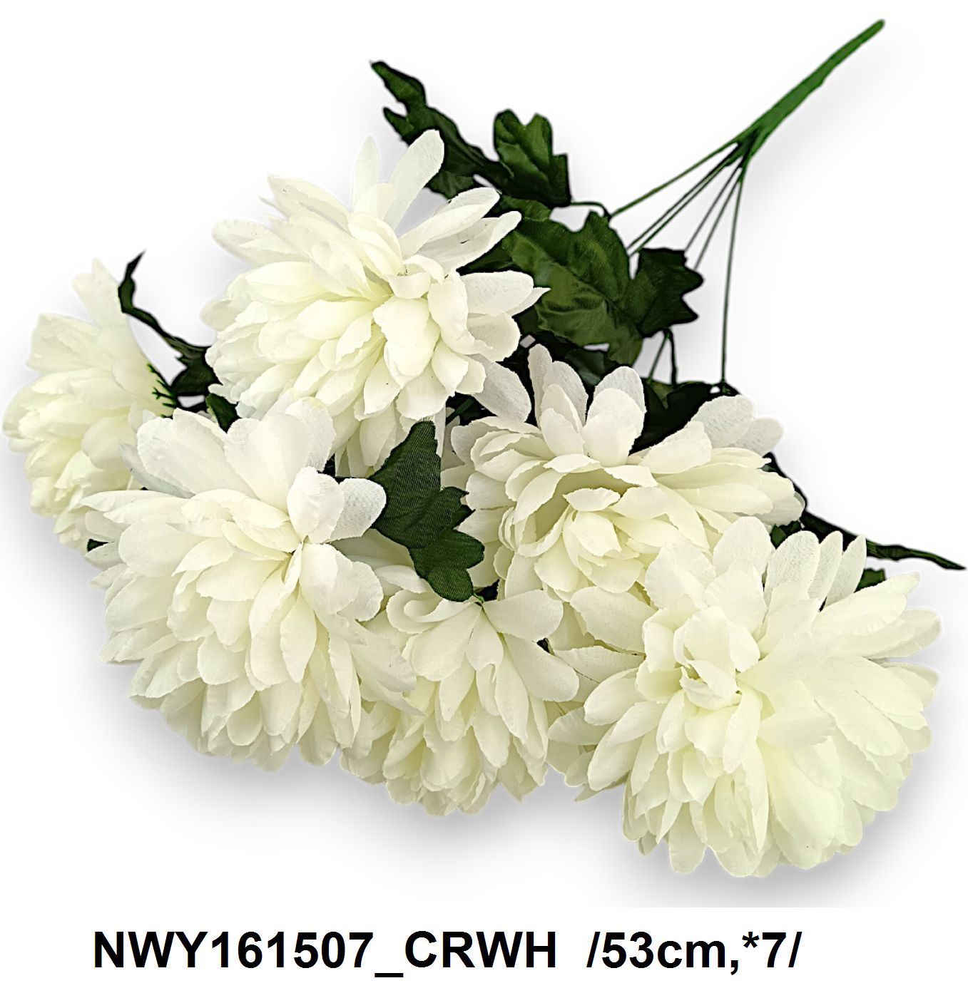 NWY161507_CRWH