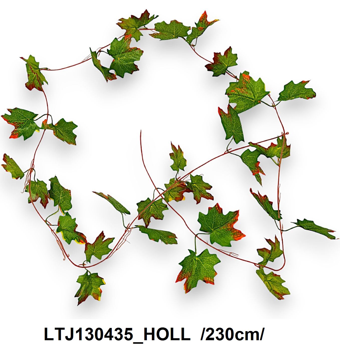 LTJ130435_HOLL