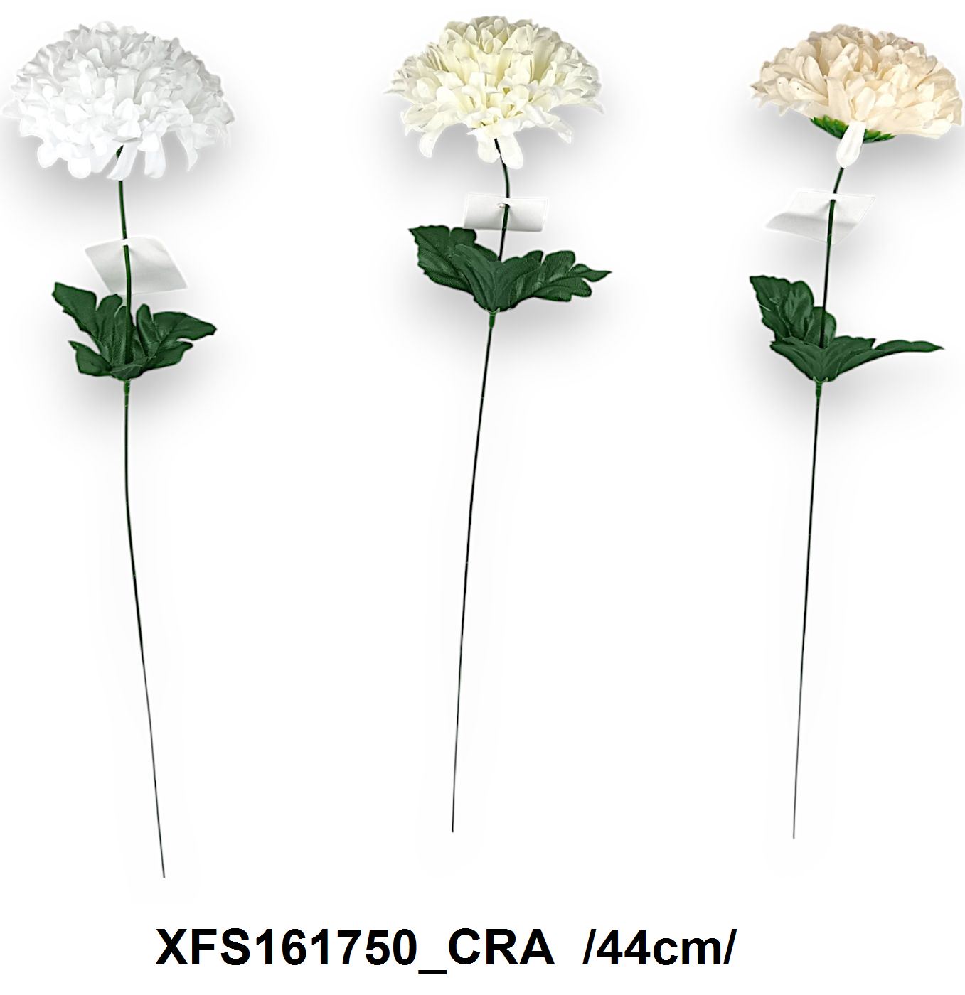 XFS161750_CRA