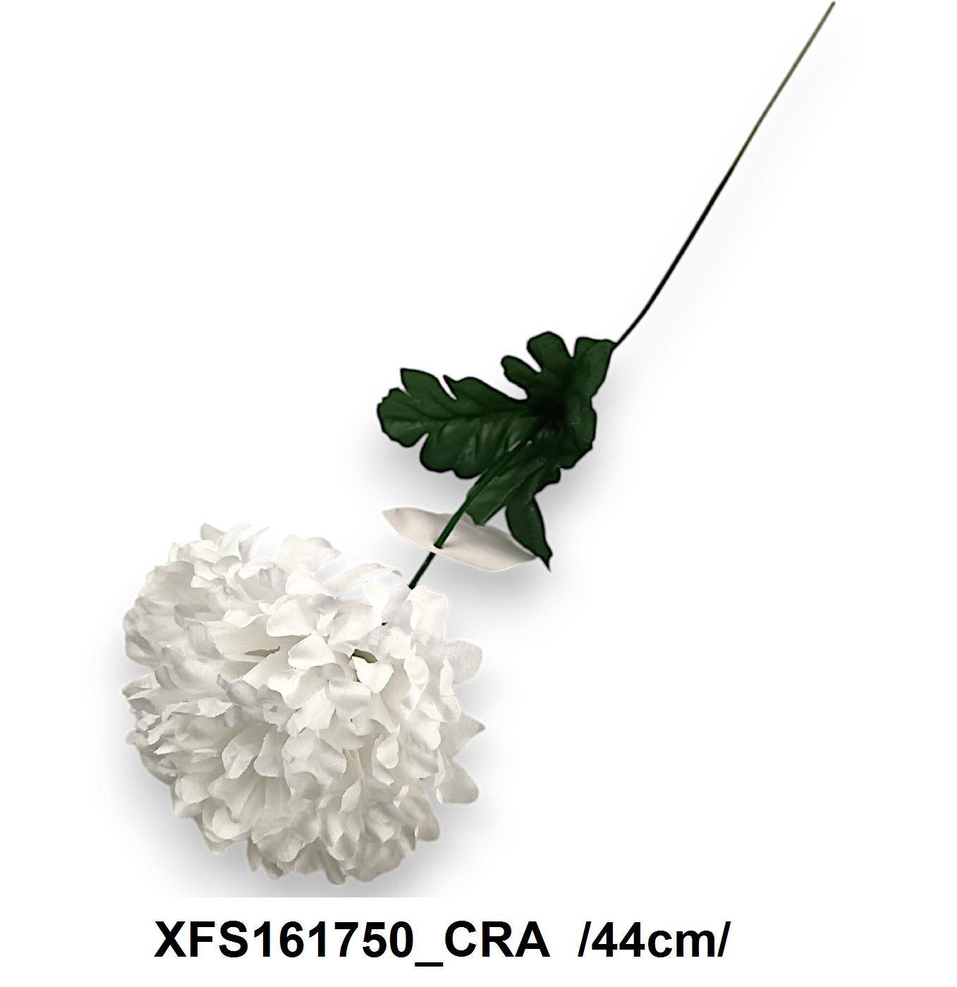 XFS161750_CRA