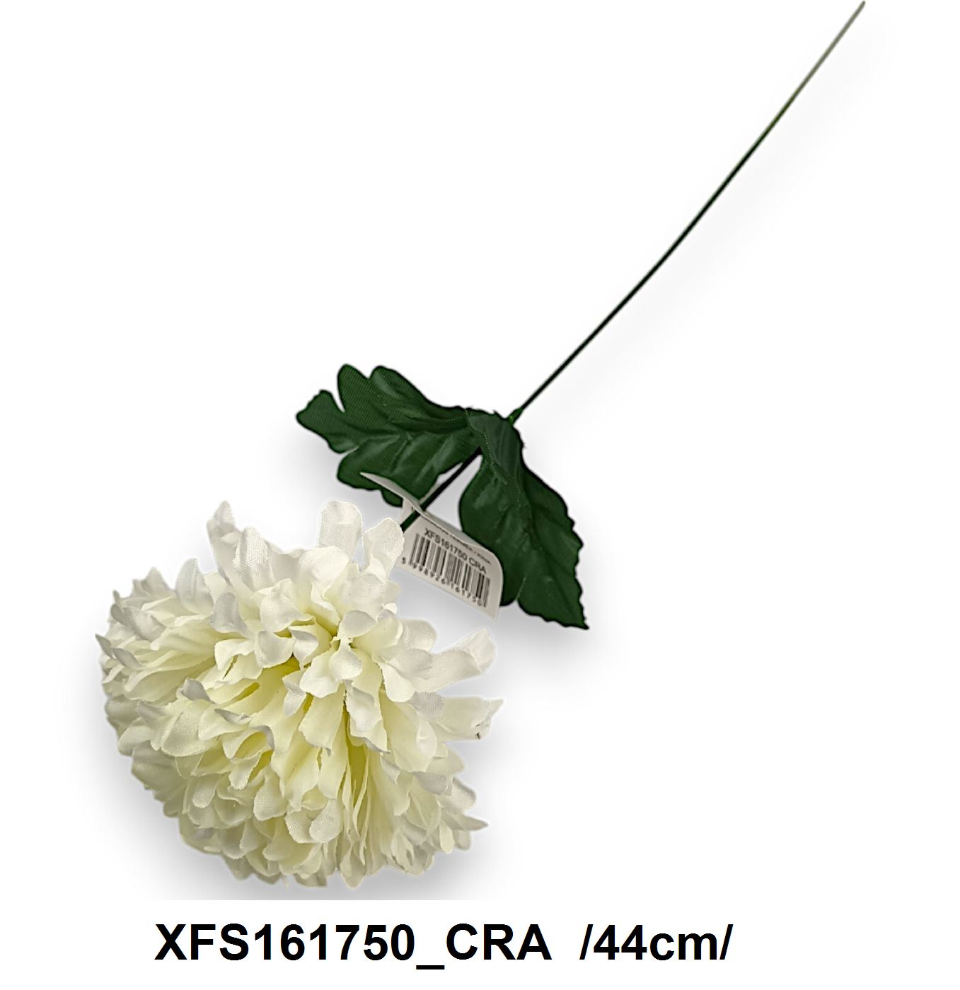 XFS161750_CRA