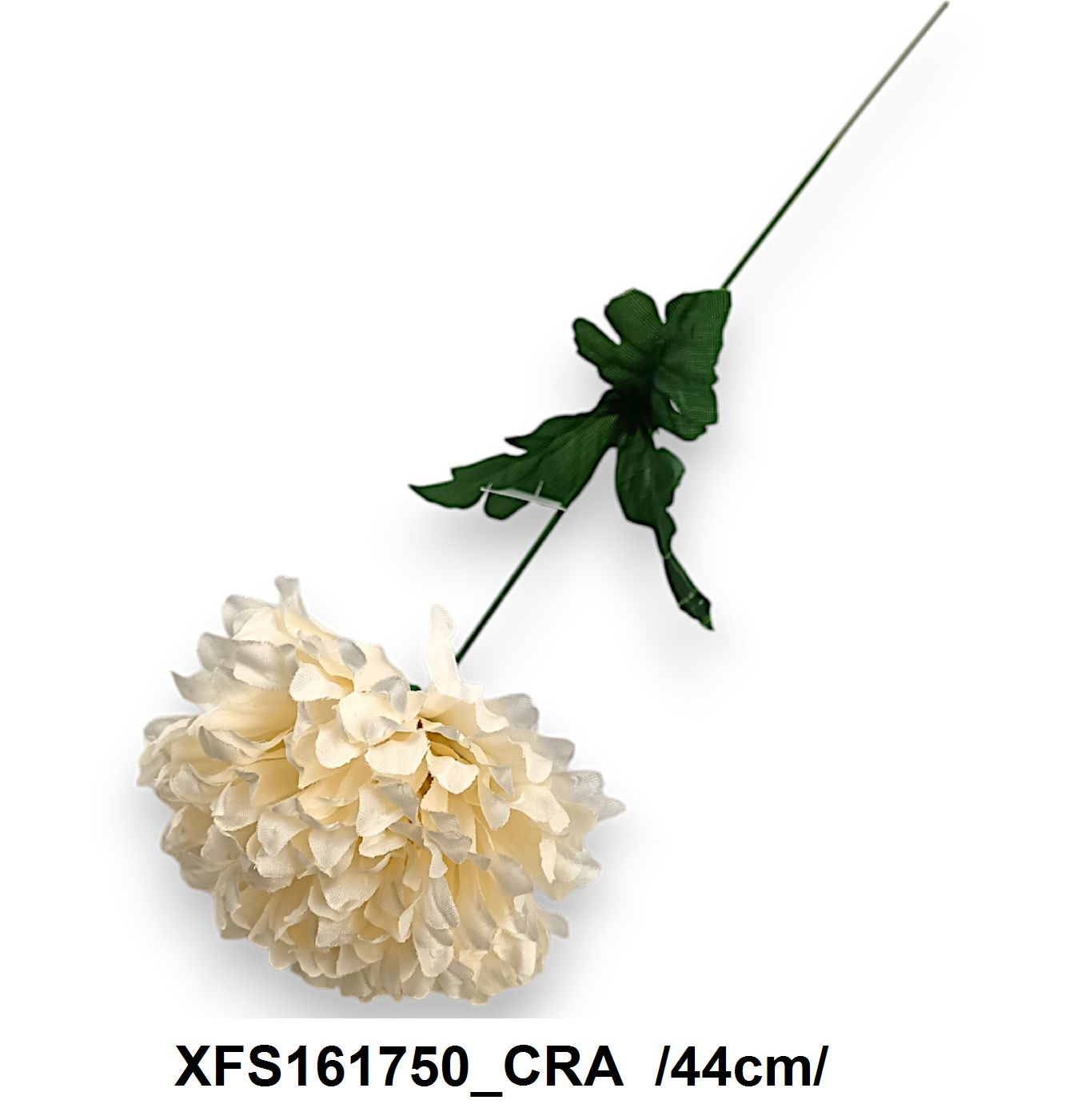 XFS161750_CRA