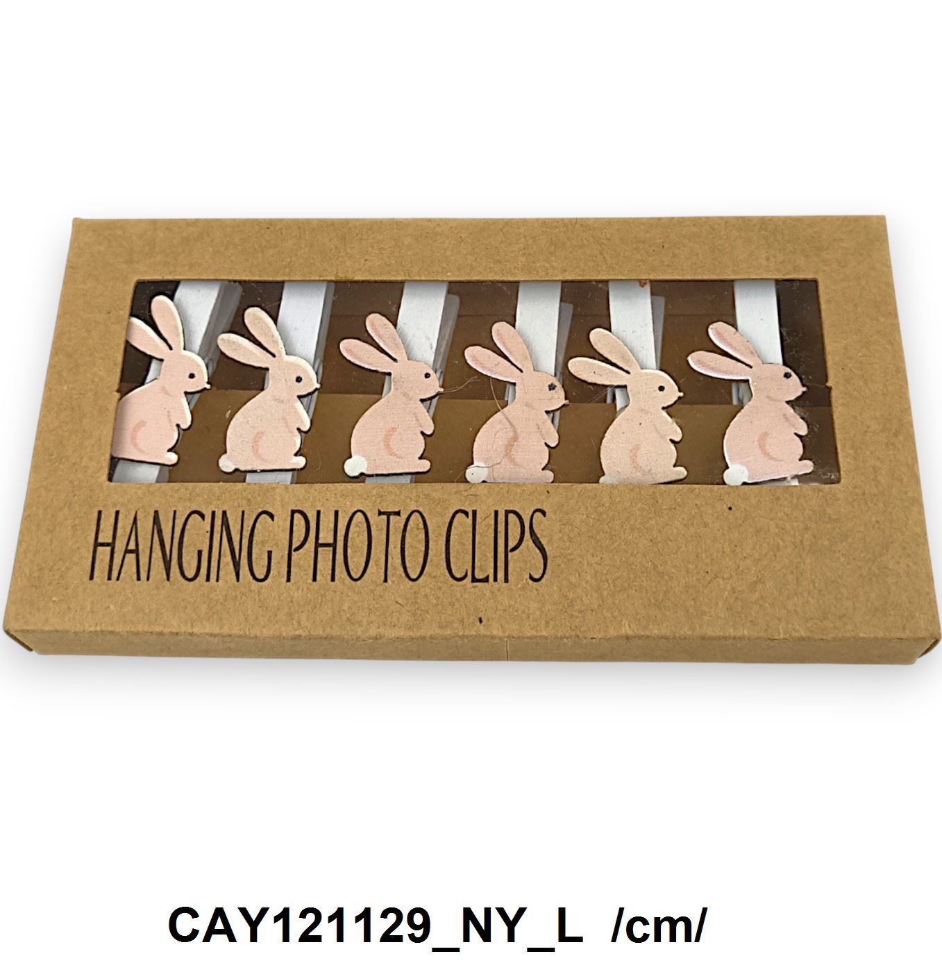 CAY121129_NY_L