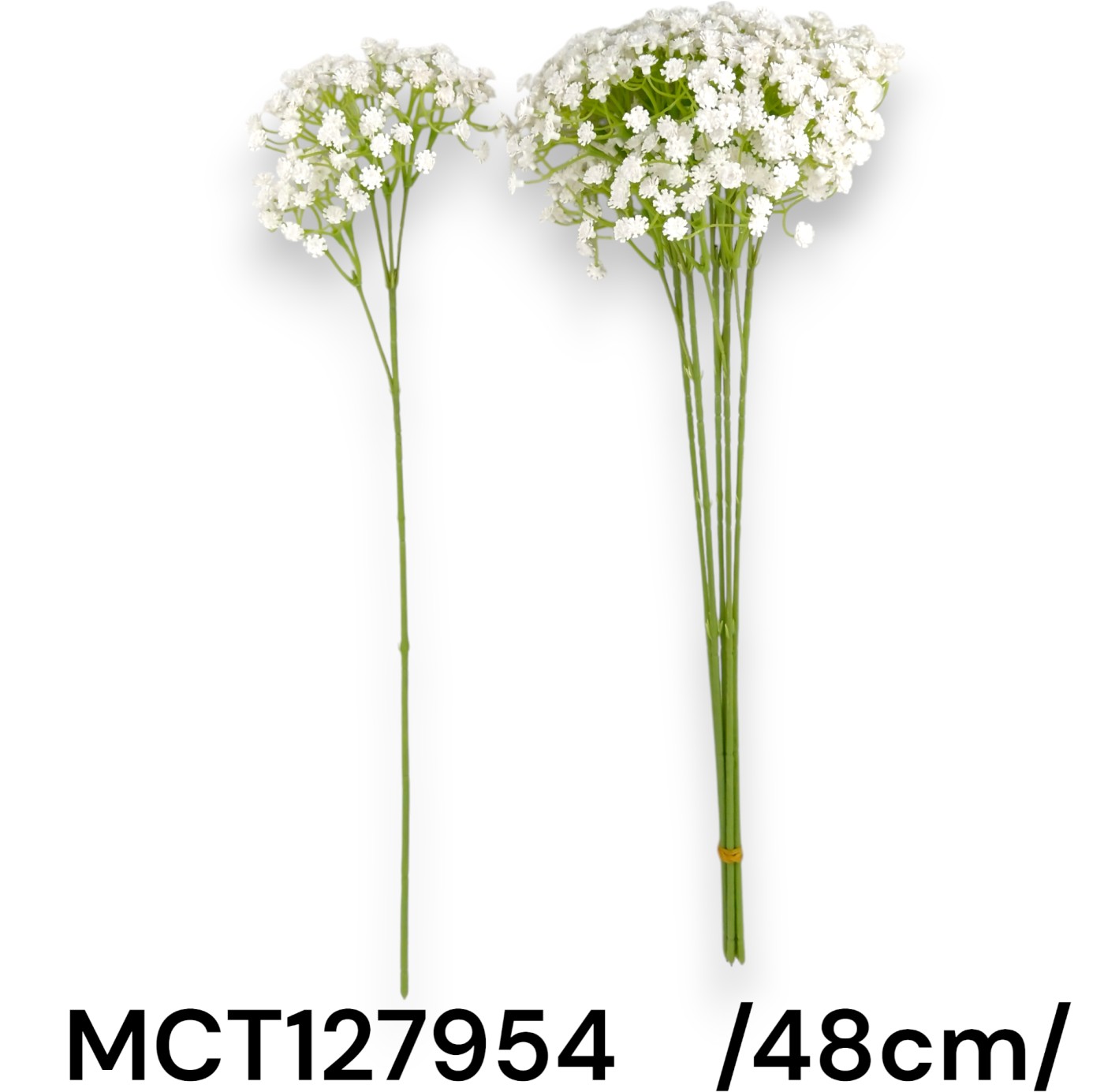 MCT127954_WH