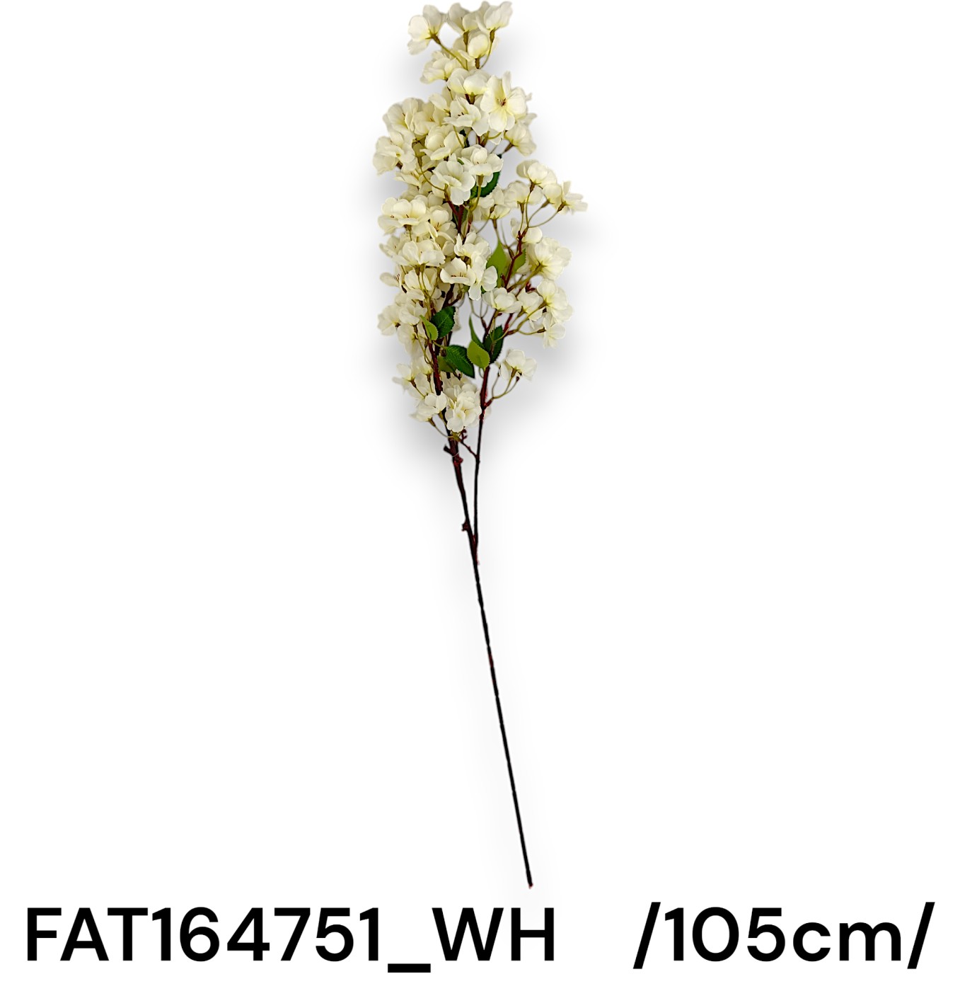 FAT164751_WH