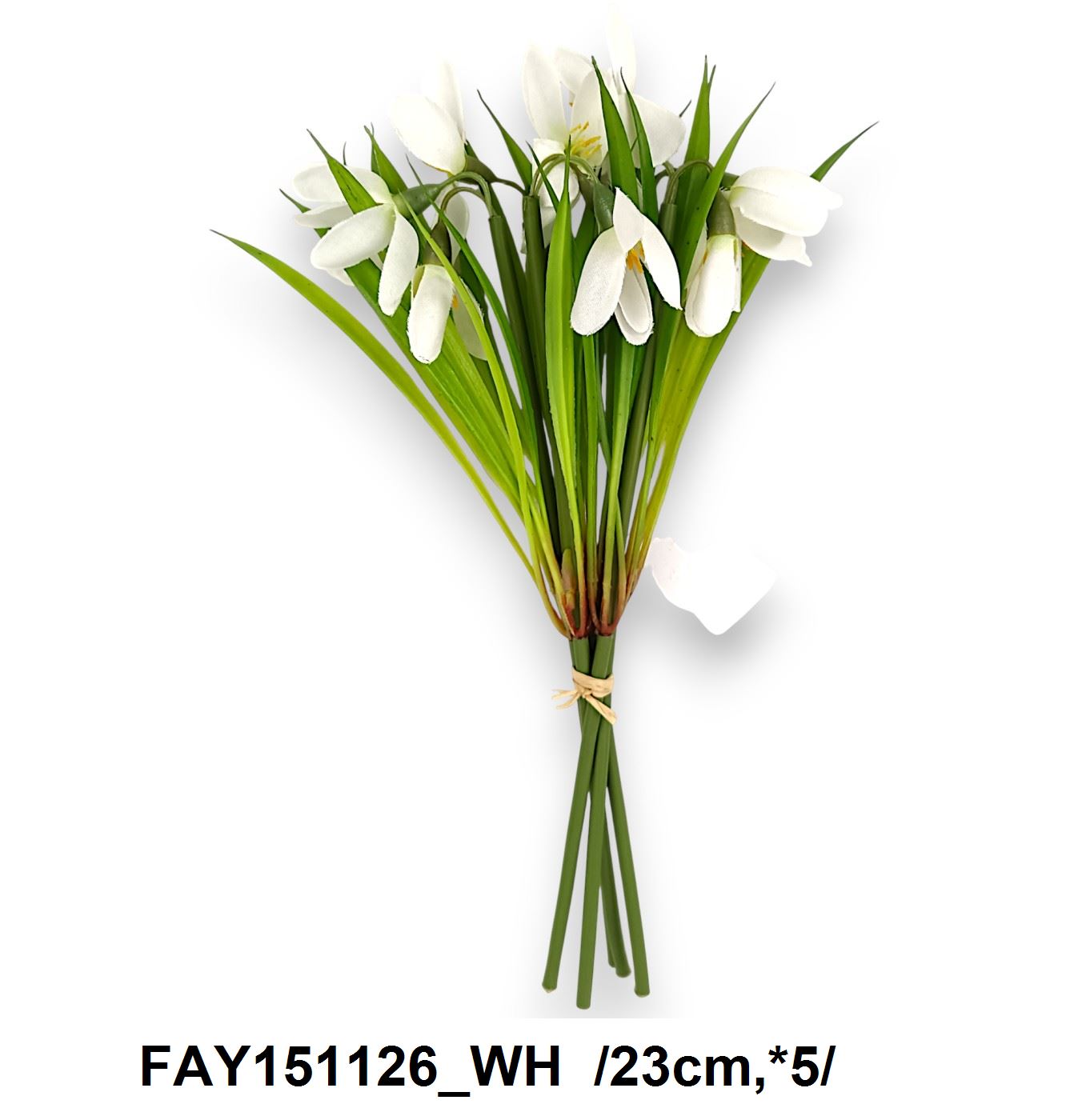 FAY151126_WH
