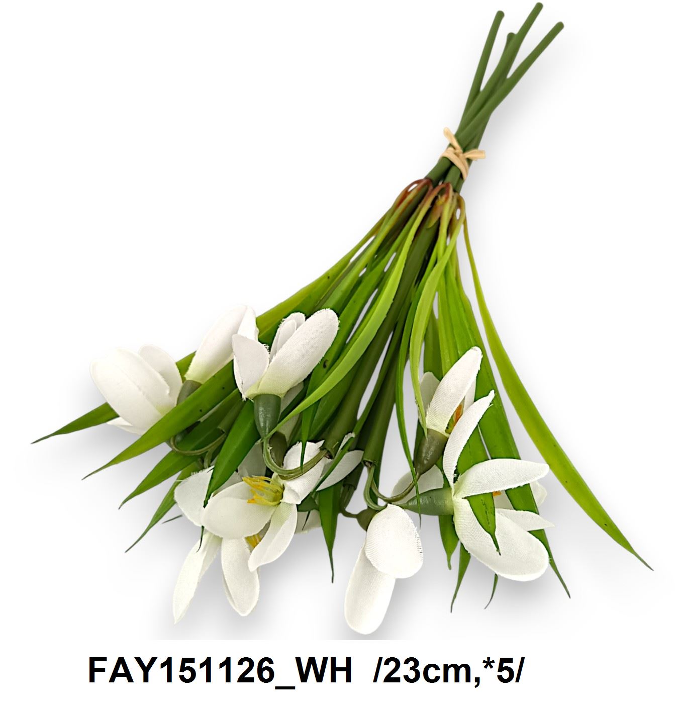 FAY151126_WH