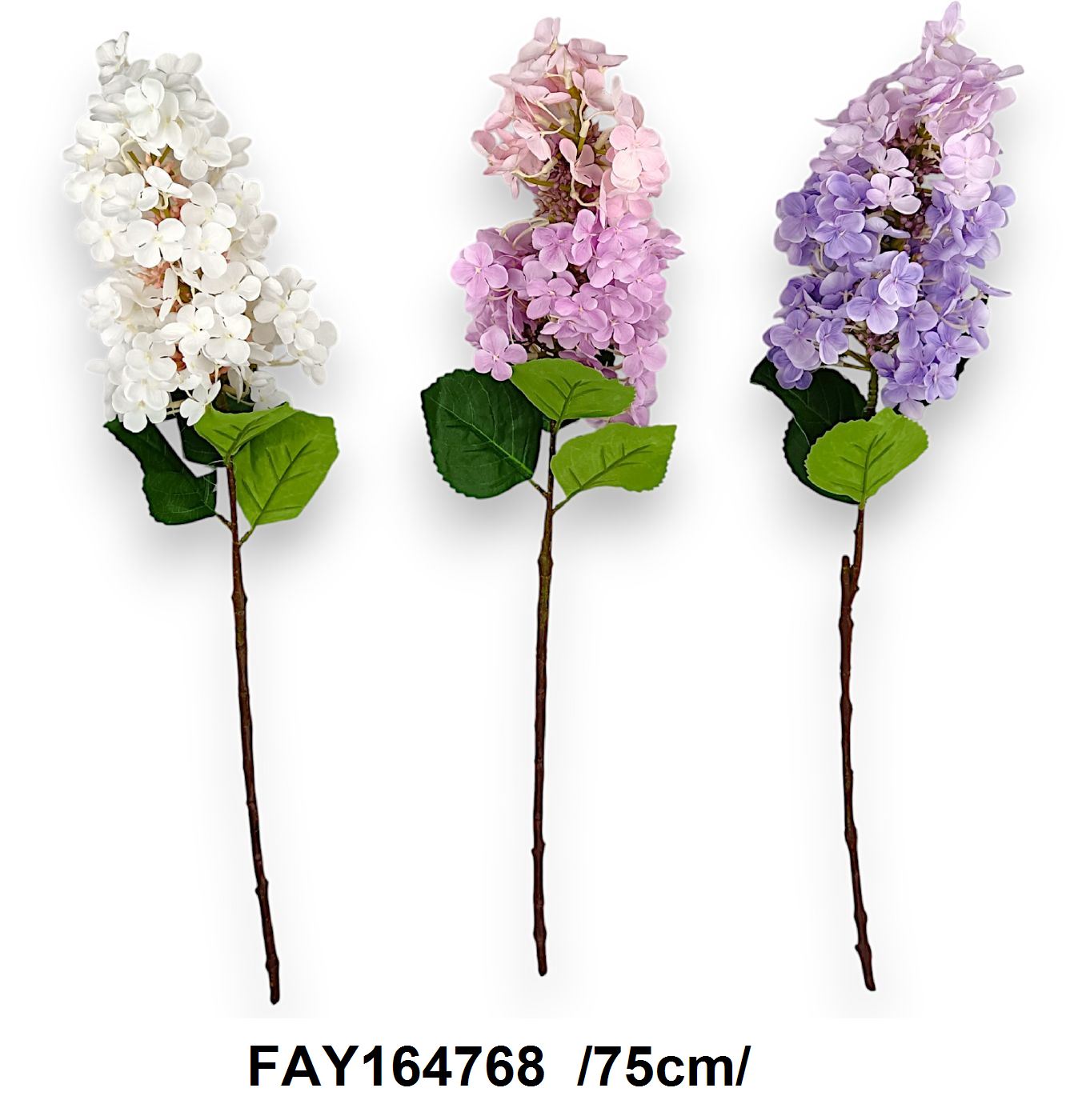 FAY164768
