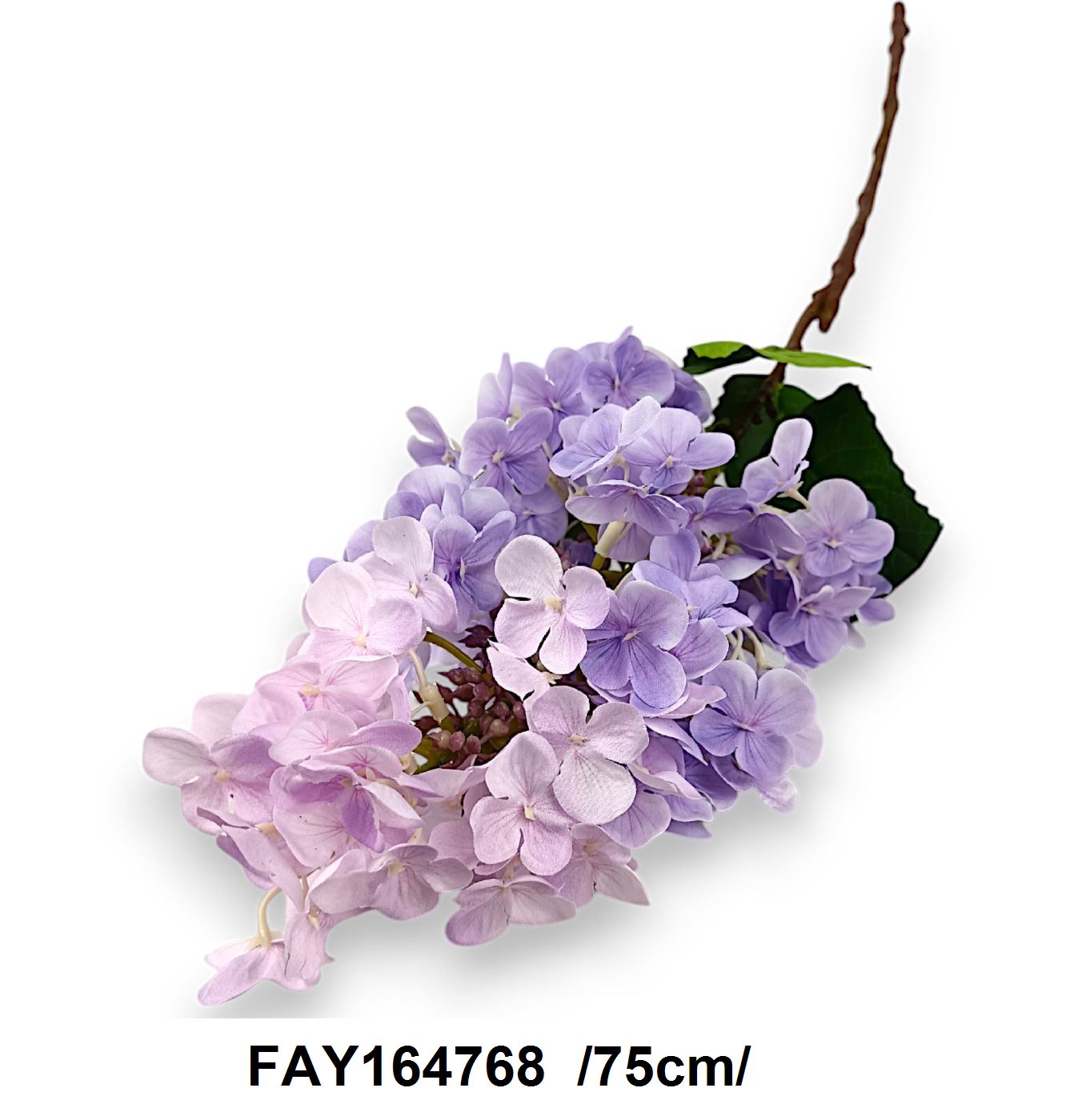 FAY164768