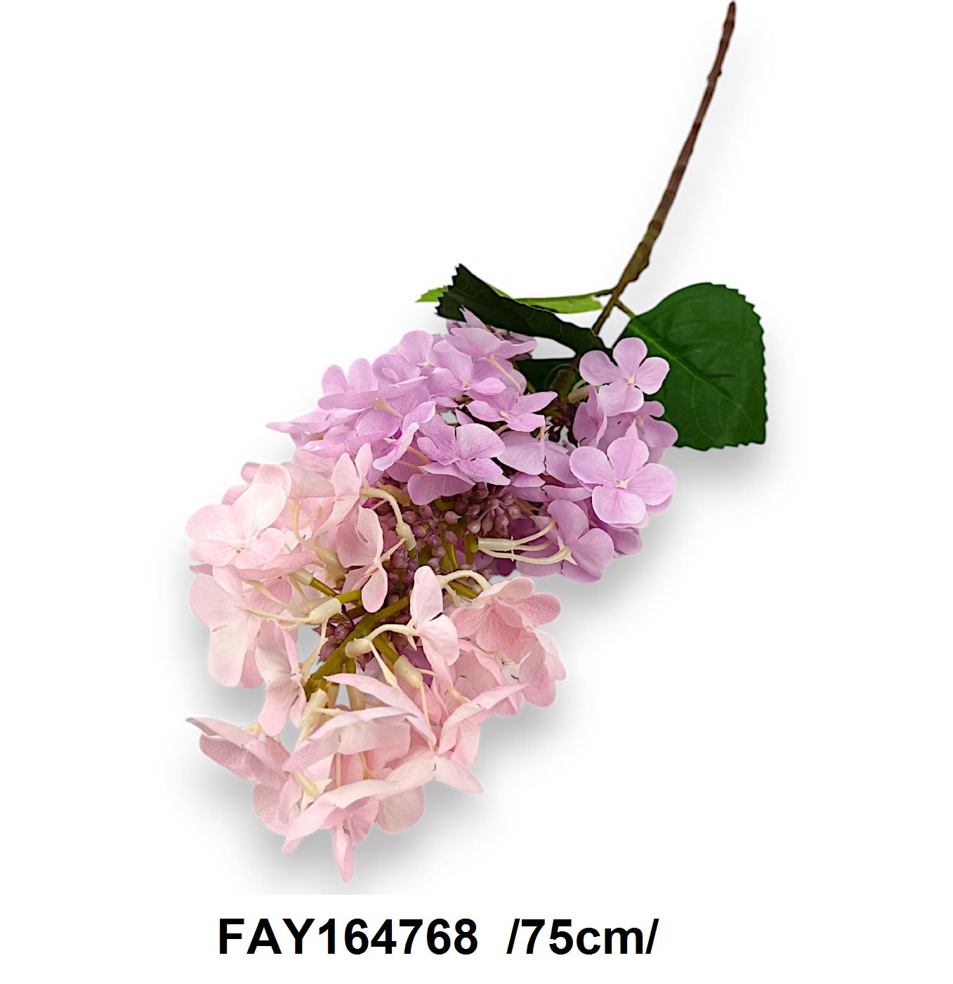 FAY164768