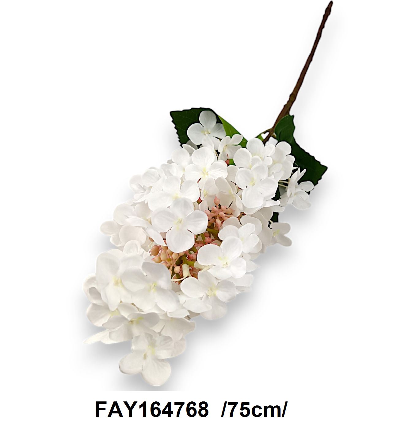 FAY164768