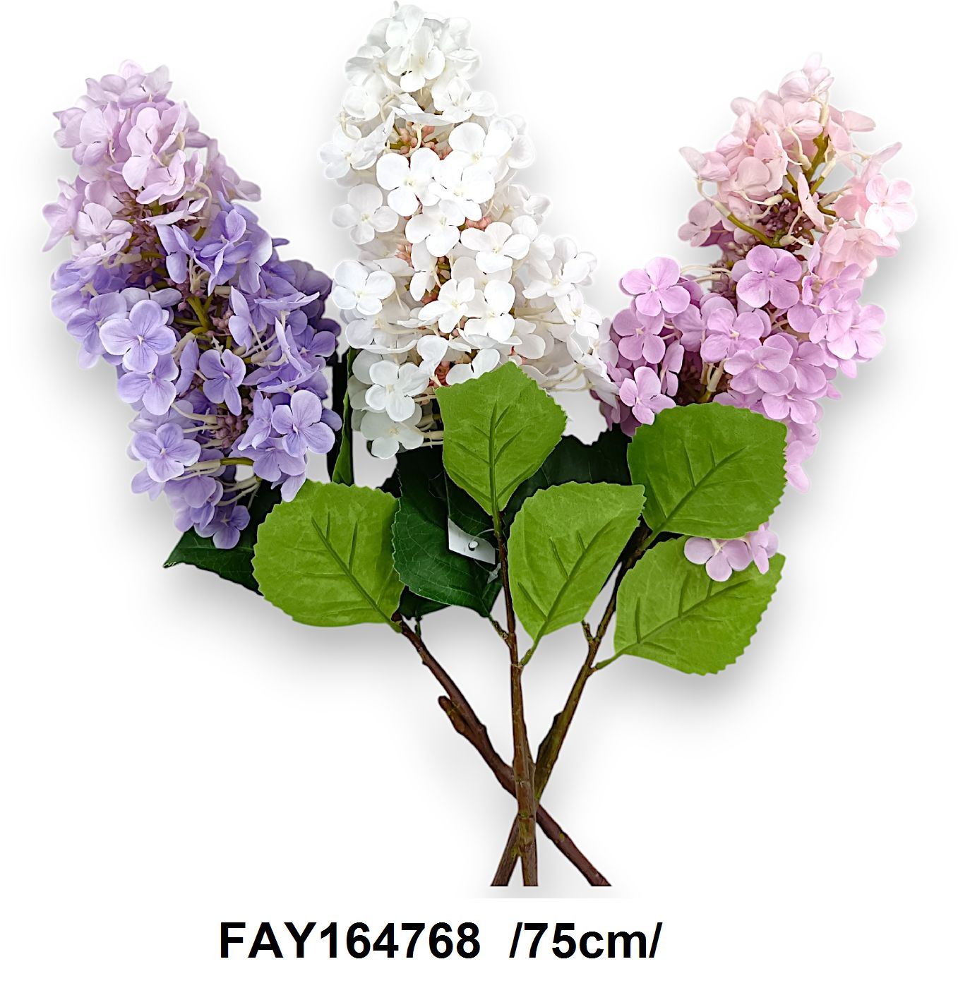 FAY164768