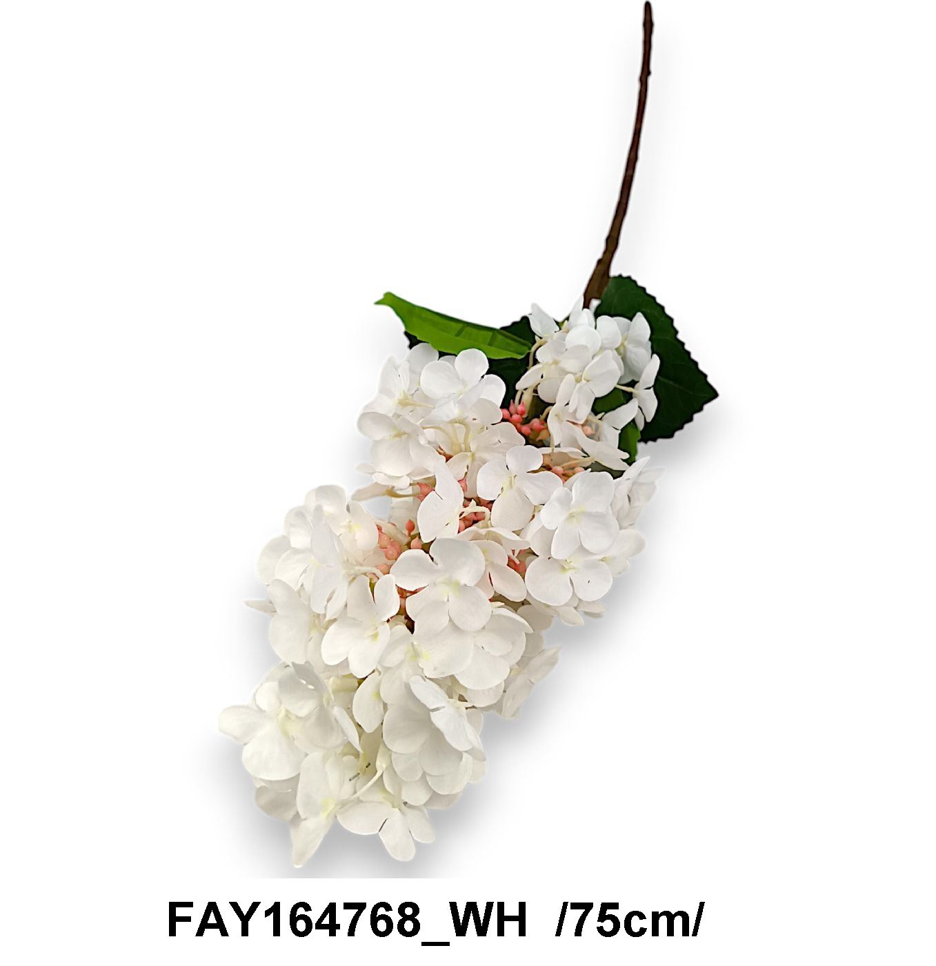FAY164768_WH